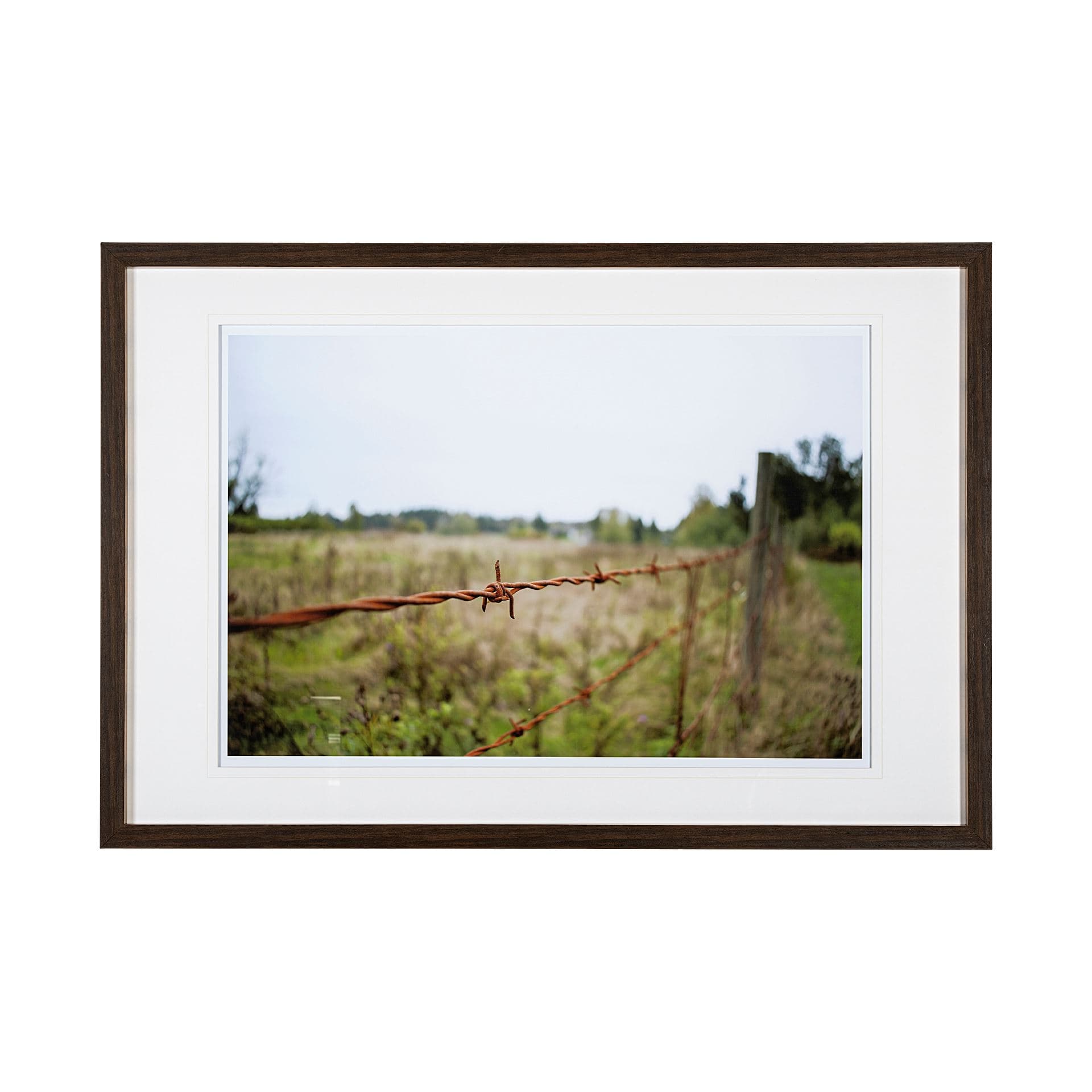 Barbed Wire by Katelyn Mostert a Framed Photo Art Print Matted under Glass — product photograph