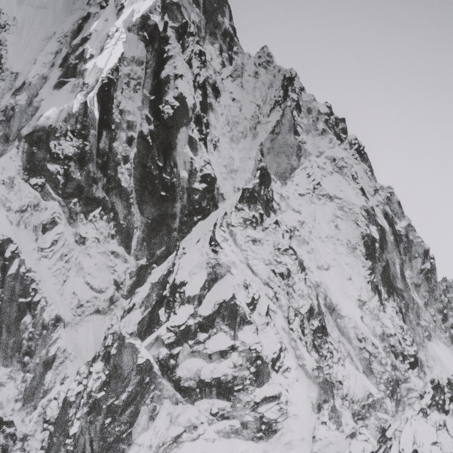 Majestic Mane - Snowscape by Matt Roseveare Framed Art Print Matted under Glass — product photograph