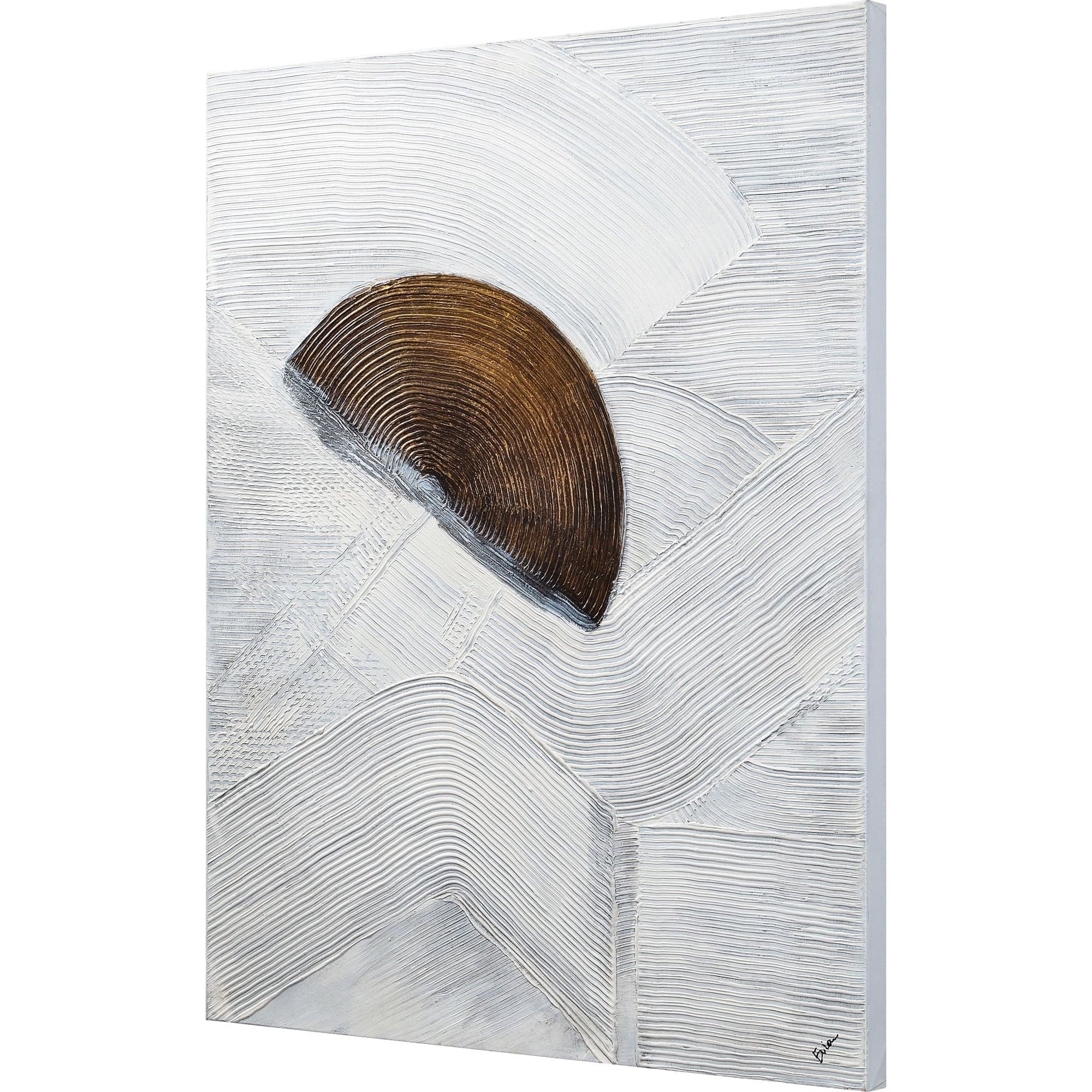 Skylab — product photograph