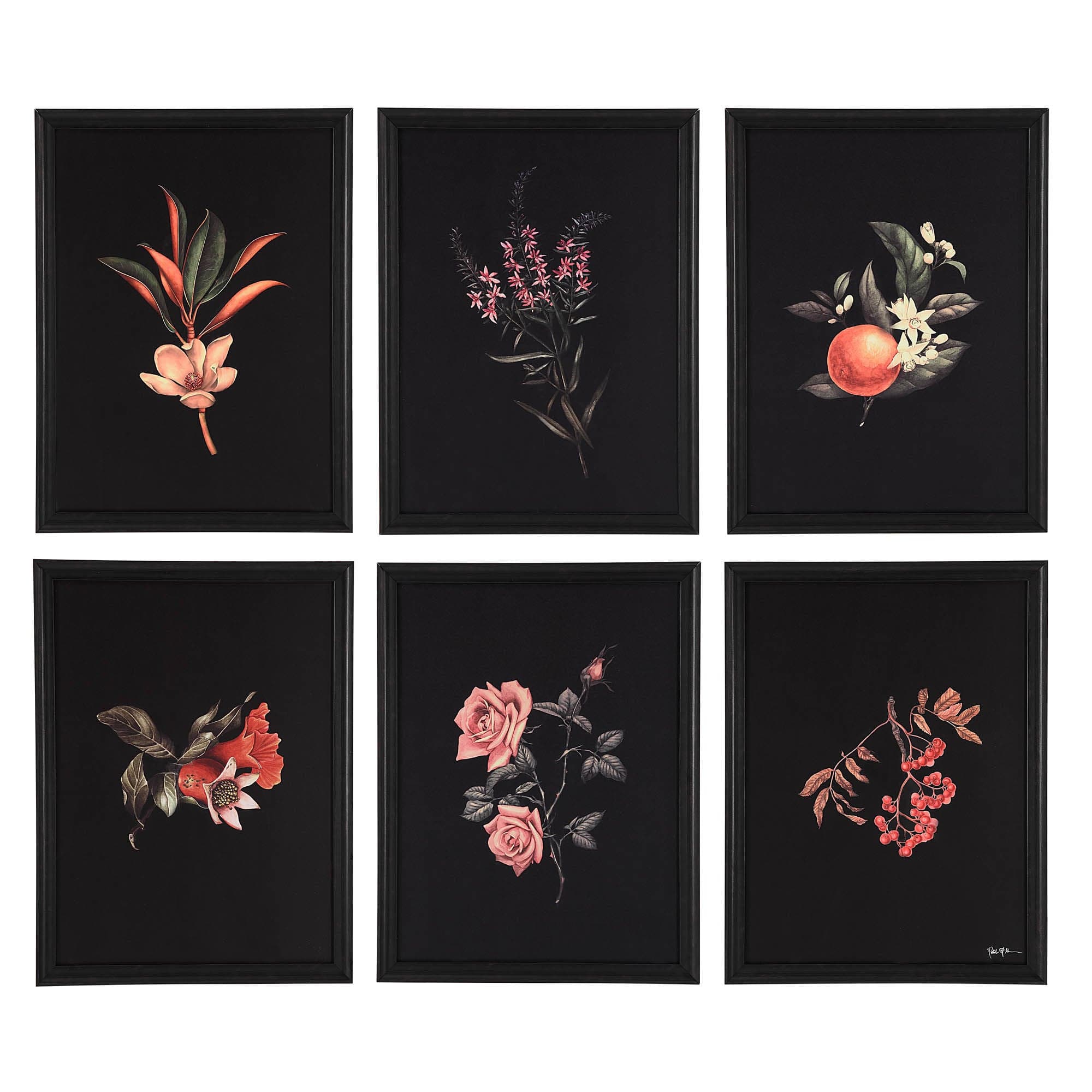 Wallflower — product photograph