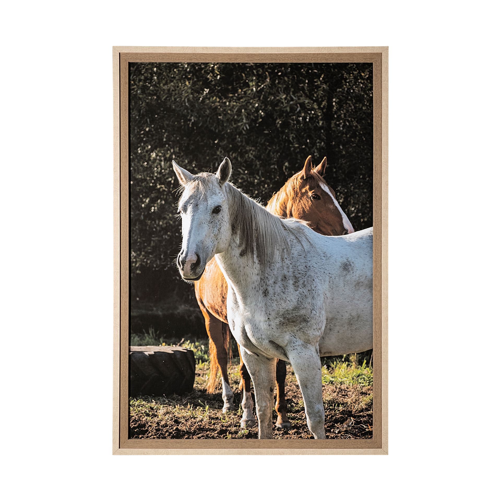 Rebel & Tinder by Katelyn Mostert a Framed Photo Art Print Matted under Glass — product photograph