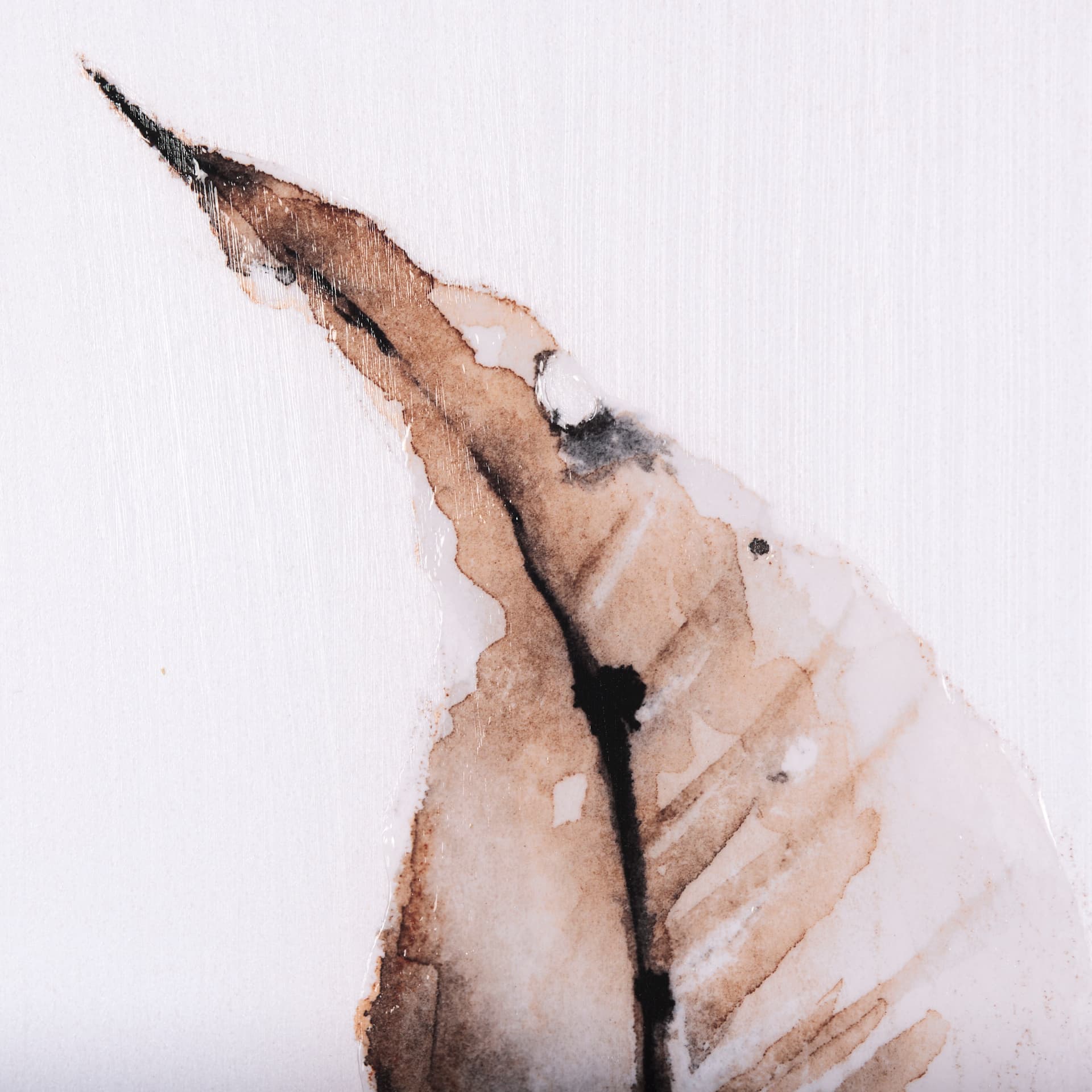 Autumn Message III by Mercana Studio a Hand Embellished Textured Framed Art Print — product photograph