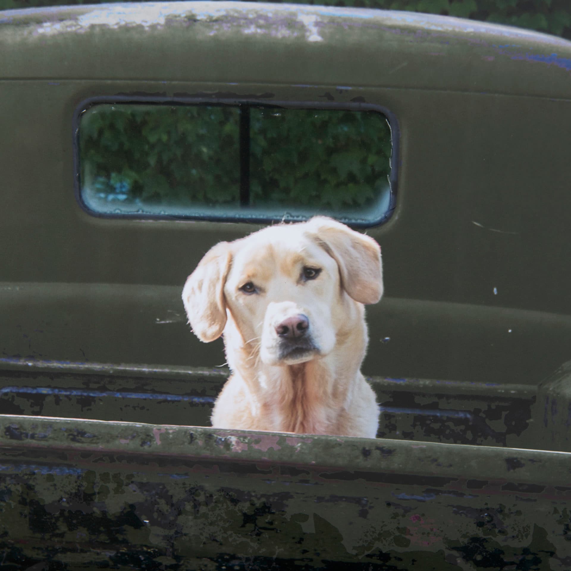 Get Out of Dodge Hunter Green by Mercana a Hand Embellished Framed Photo Art Print Matted under Glas — product photograph