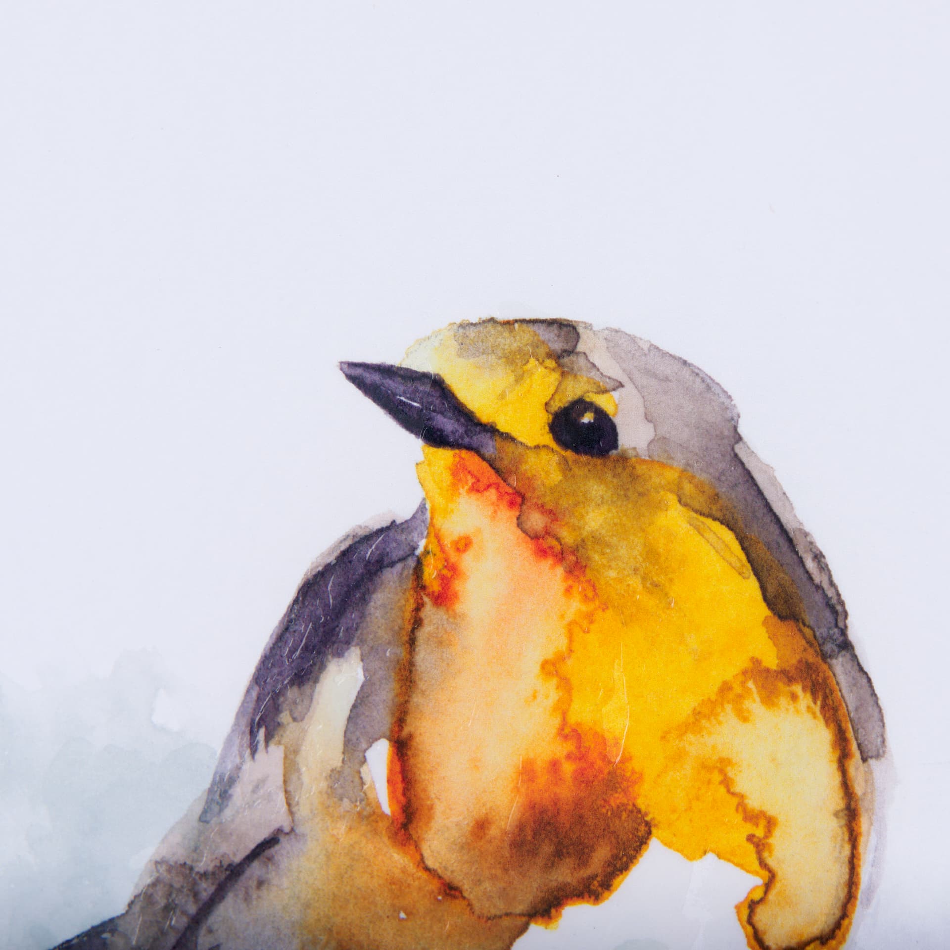 Robin IV by Mercana Studio a Hand Embellished Textured Framed Art Print Matted under Glass — product photograph