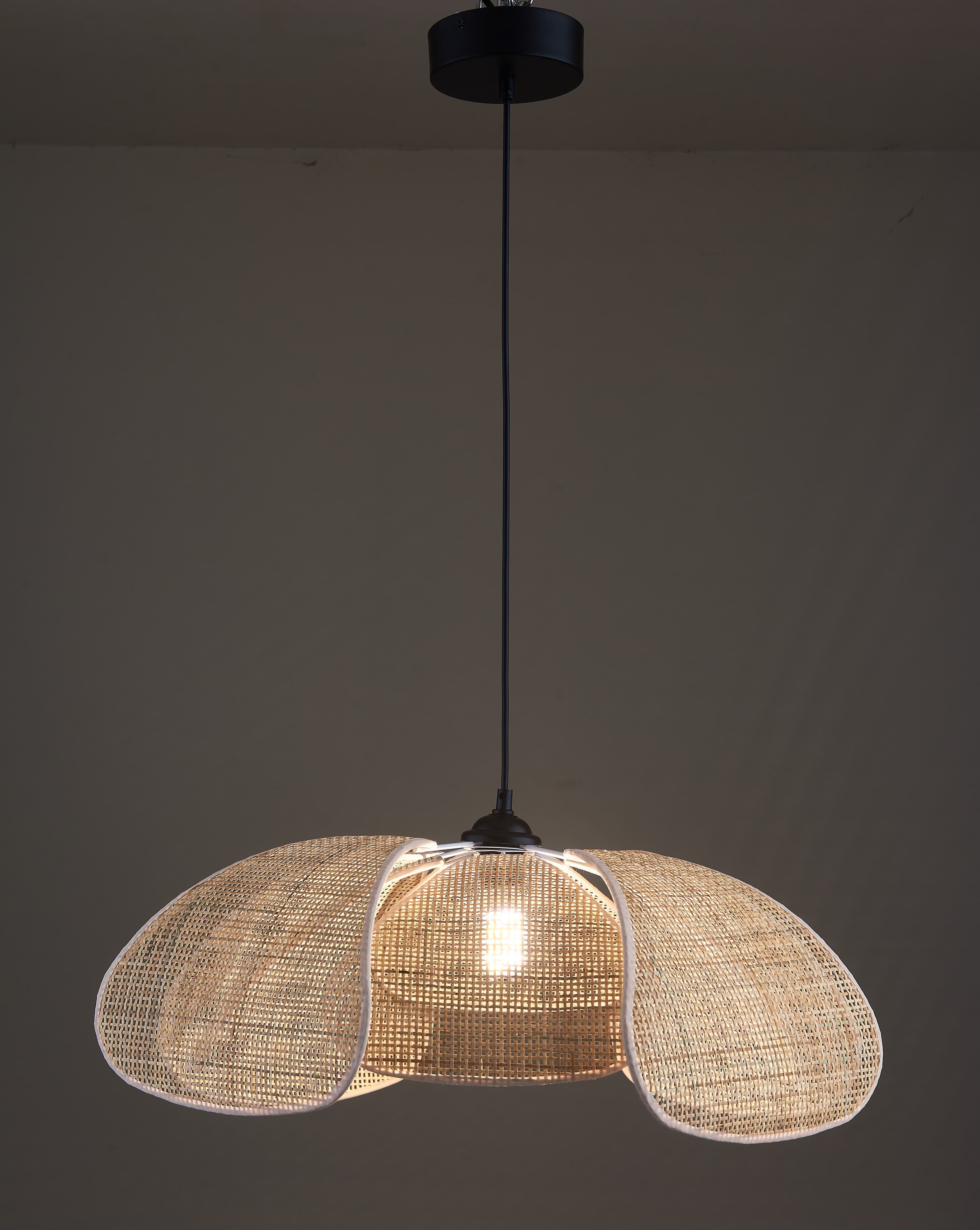 Petal Pendant Light — product photograph