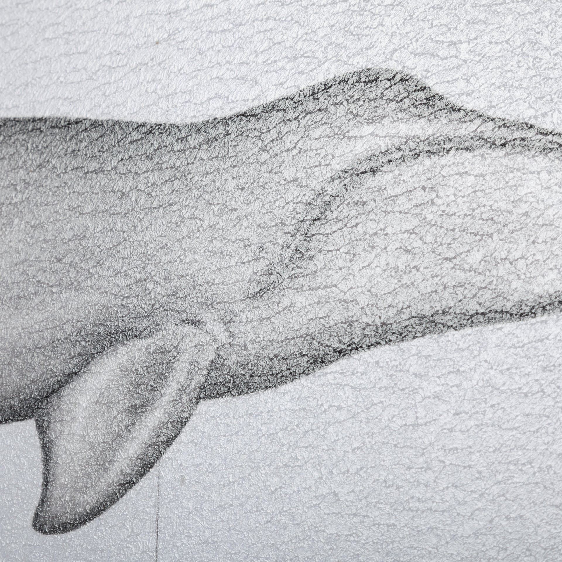 Bowhead Whale by Mercana Studio a Hand Embellished Textured Framed Art Print — product photograph