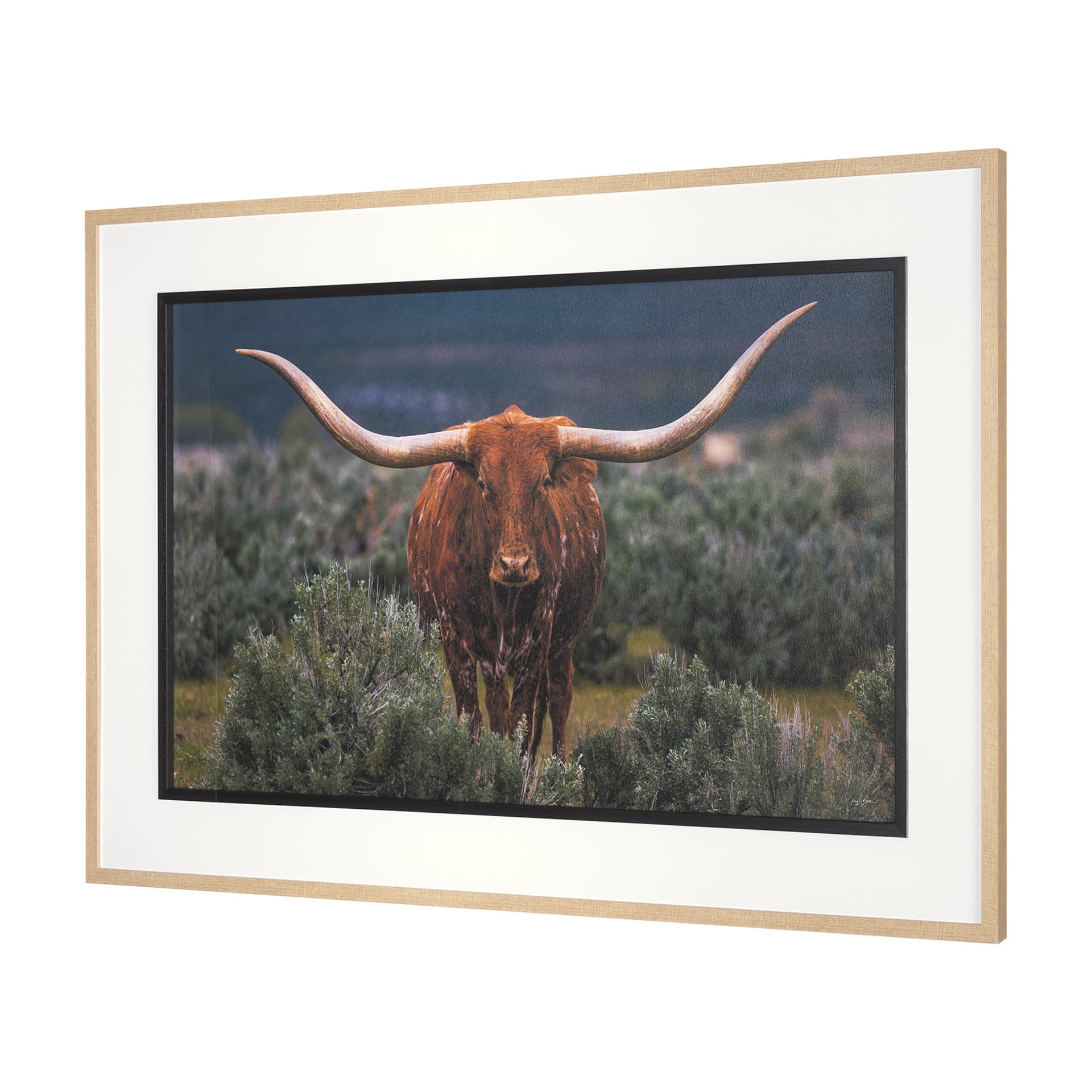 Longhorn 5 by Gary Blatter a Hand Embellished Framed Photo Art Print Matted under Glass — product photograph