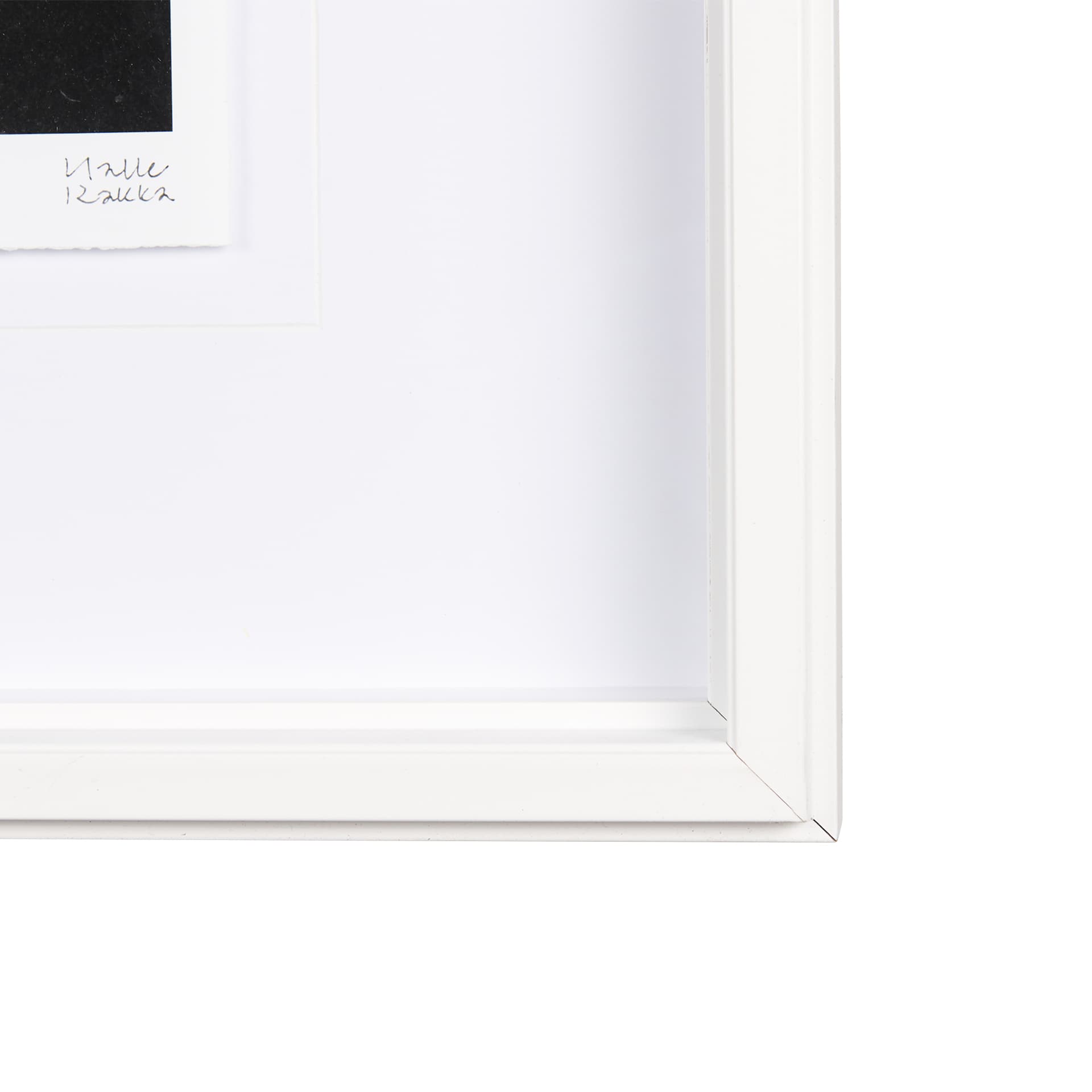 Midnight Flower I by Mercana Studio a Framed Art Print Matted under Glass — product photograph