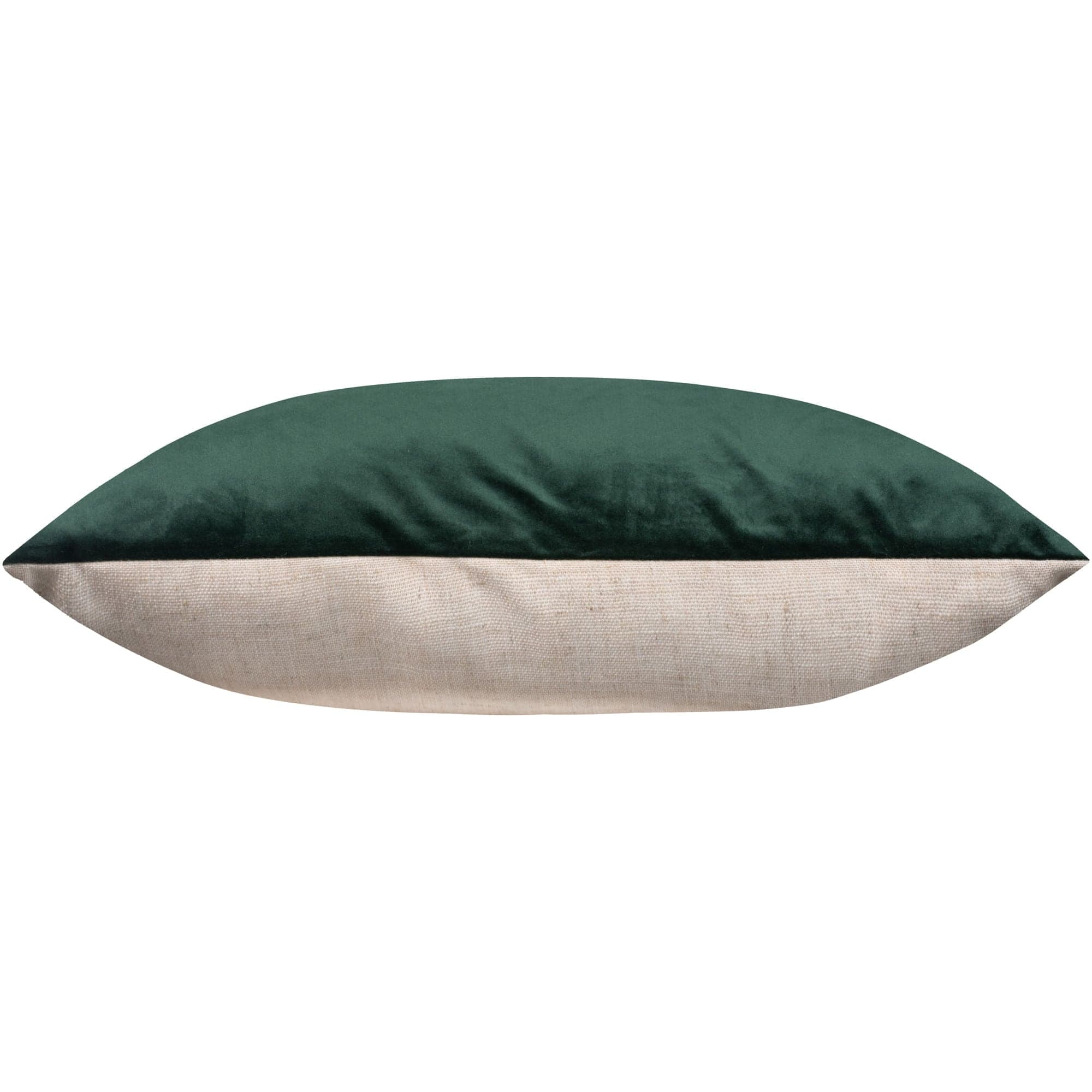Olive — product photograph