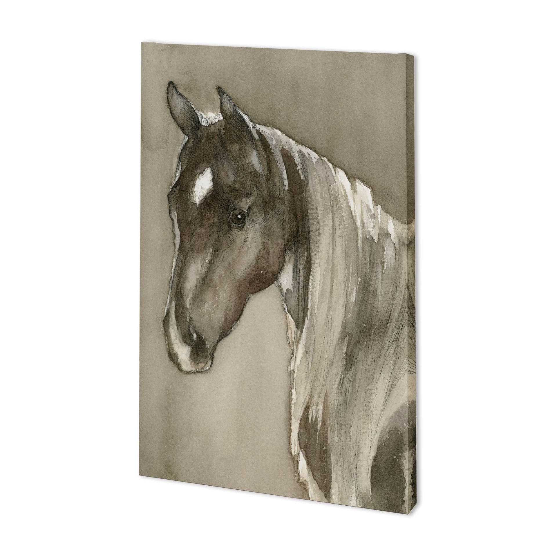 Horse Portrait II by Mercana Studio a Hand Embellished Textured Canvas — product photograph