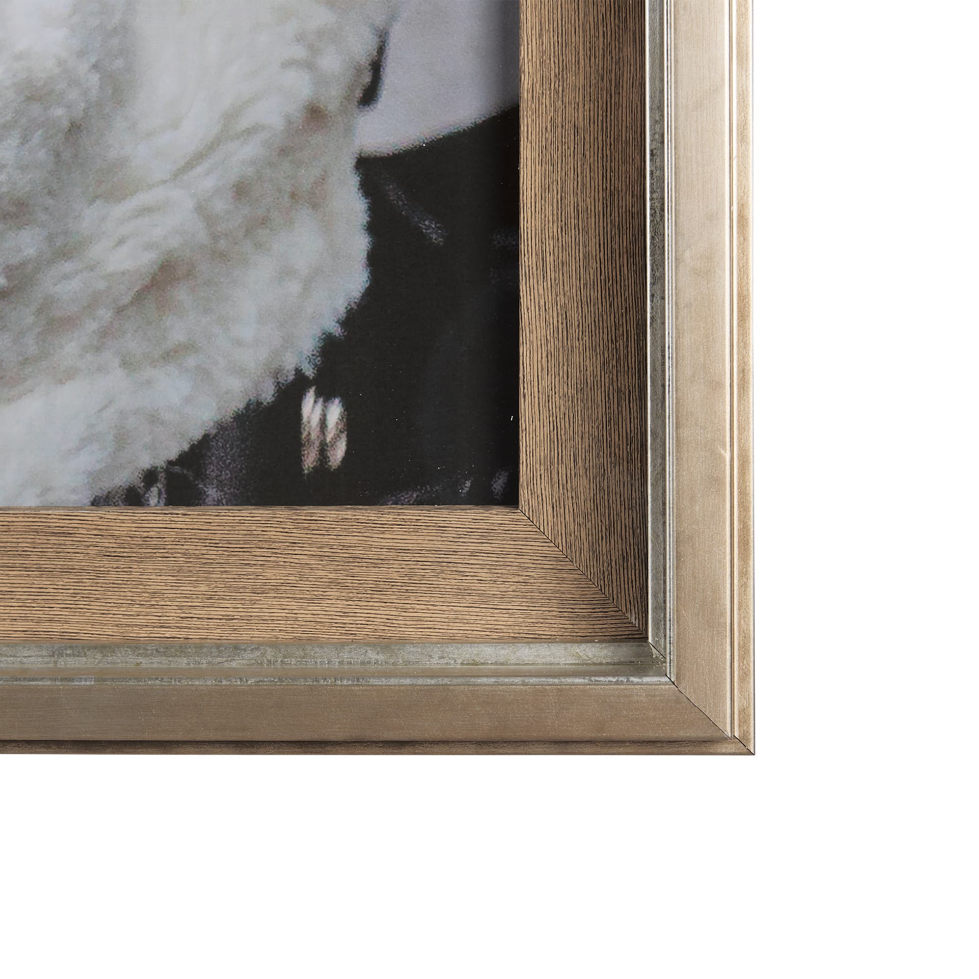 Clever Canines by Mercana Studio a Hand Embellished Textured Framed Photo Art Print Matted under Gla — product photograph