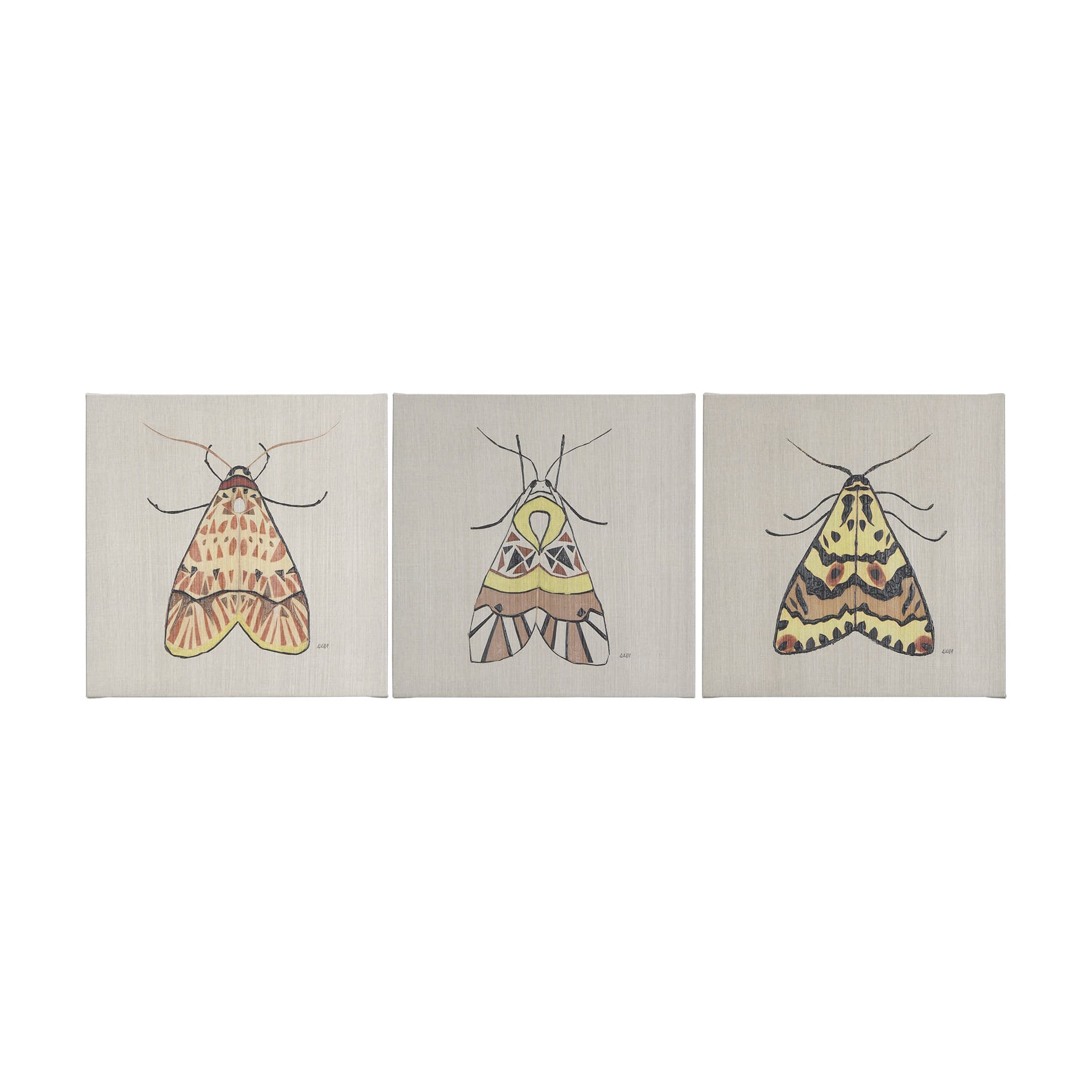Moth III by Mercana Studio a Hand Embellished Textured Canvas — product photograph