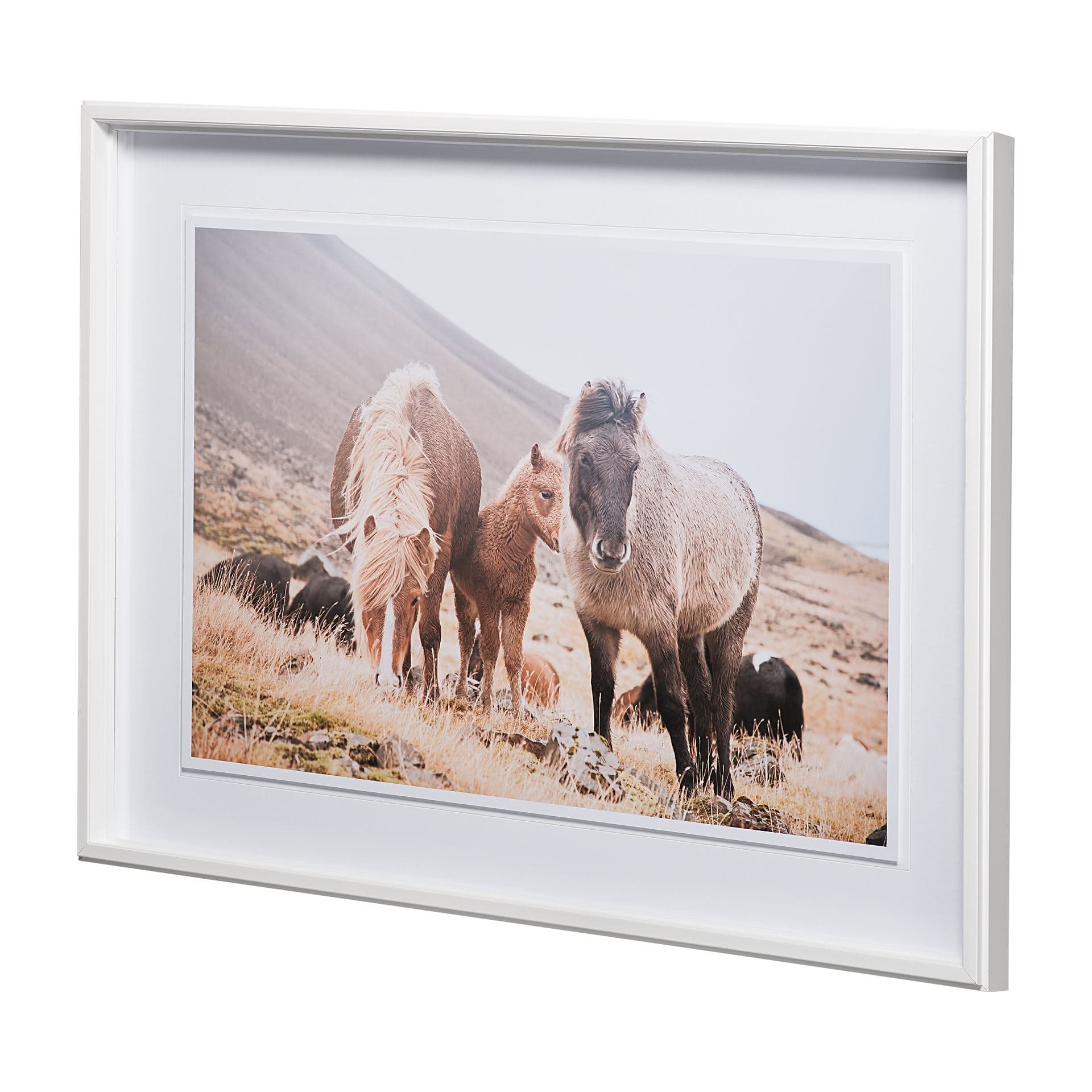 Horses of Hofn I by Laura Marshall a Framed Photo Art Print Matted under Glass — product photograph