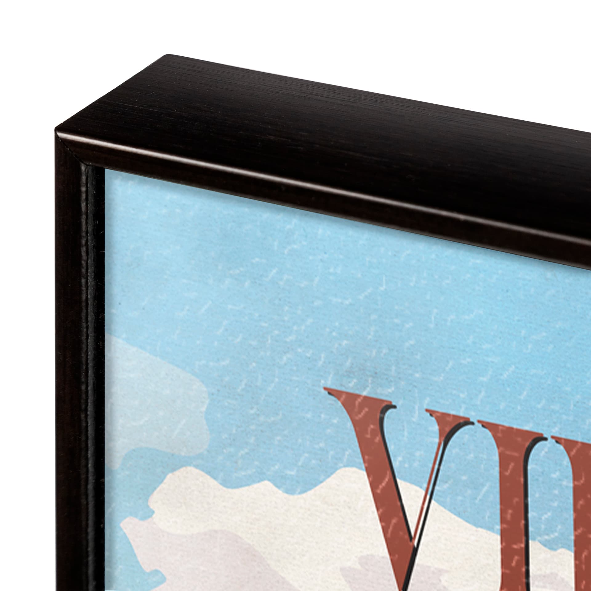 Virginia Go USA (SM) by Mercana Studio a Hand Embellished Decograph Framed Art Print — product photograph