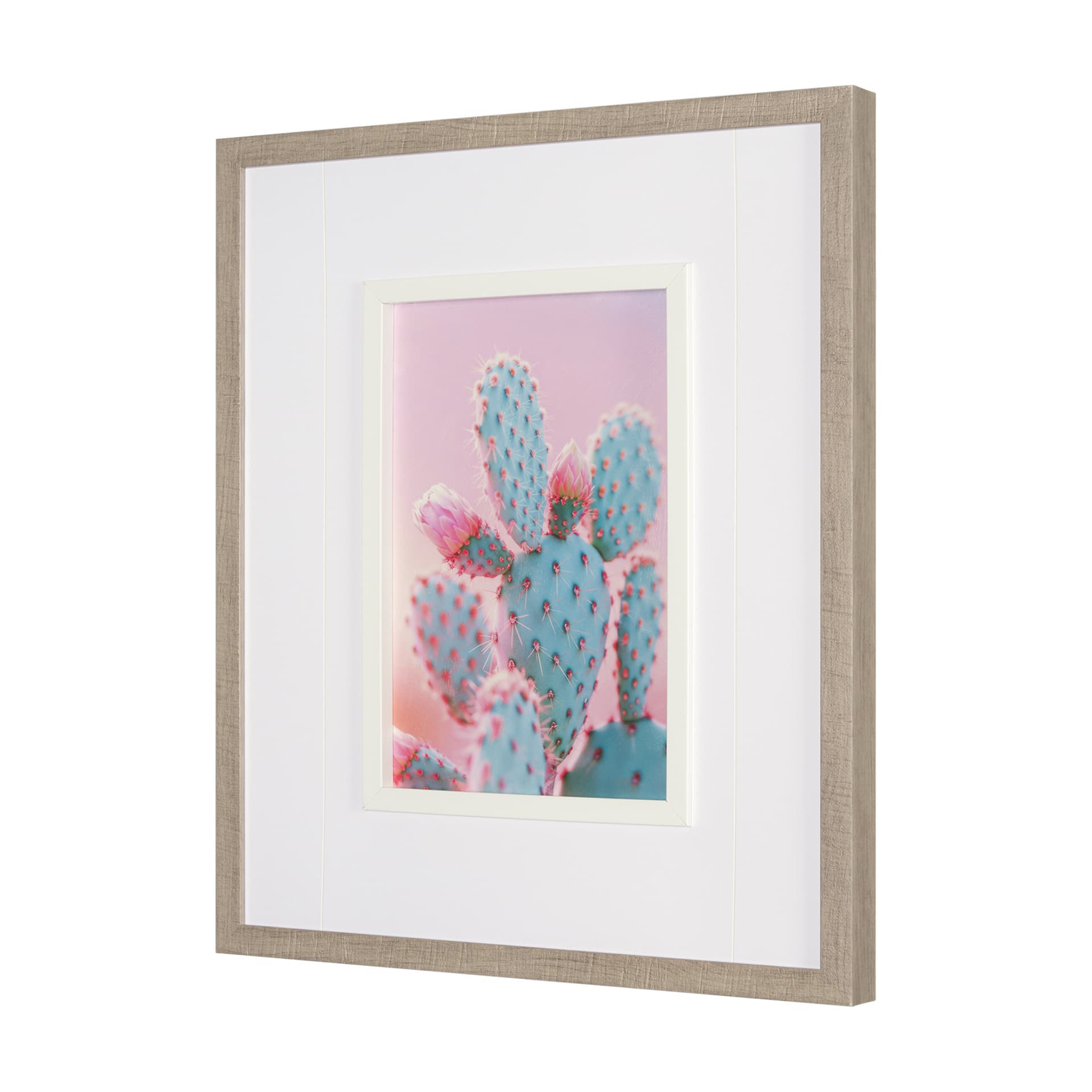 Blush Botanicals - Prickles by Philippe Hugonnard a Hand Embellished Framed Photo Art Print Matted u — product photograph