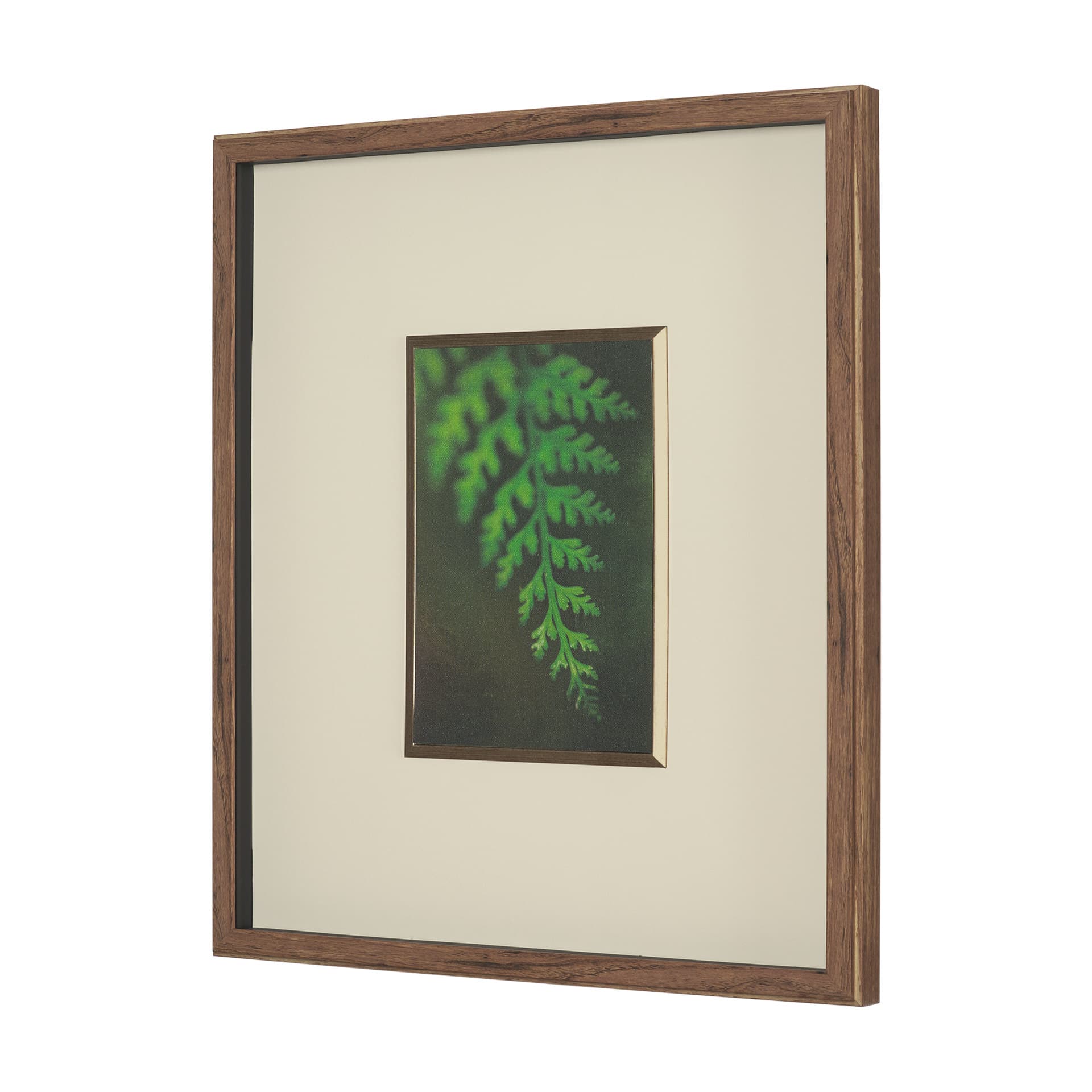 Floral Bliss by Michael Banks a Hand Embellished Framed Photo Art Print Matted under Glass — product photograph