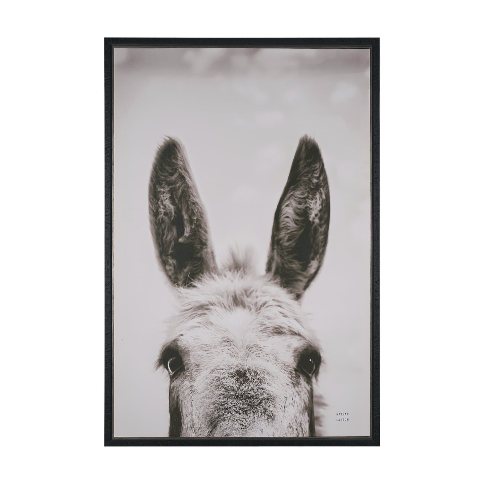 Downward Facing Donkey Sepia by Nathan Larson Textured Framed Canvas Photo Print — product photograph