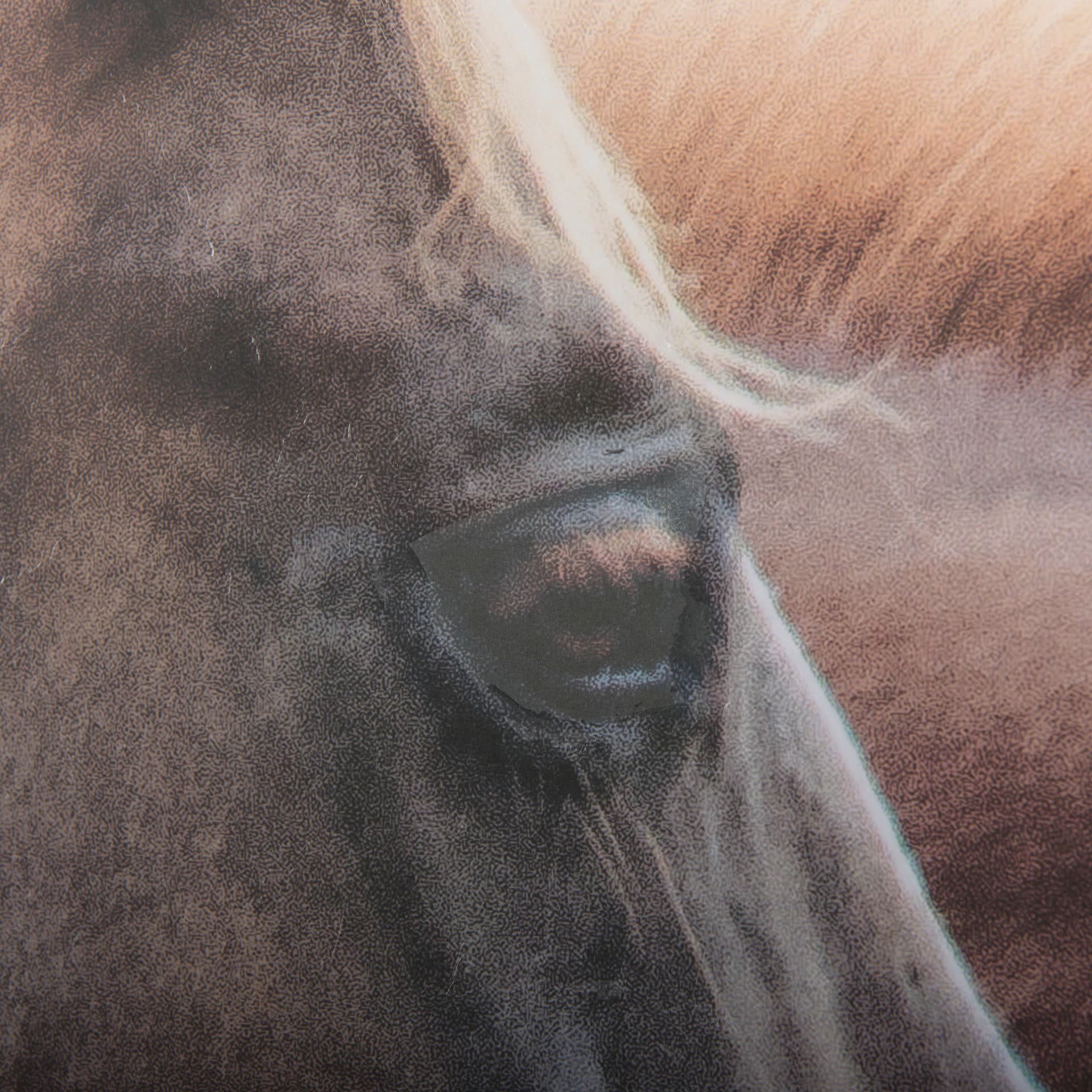 Bold Equine - Run by Mercana Studio a Hand Embellished Textured Framed Photo Art Print Matted under — product photograph