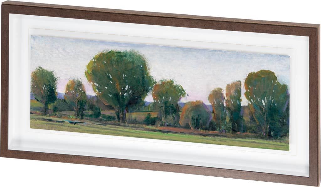 Panoramic Treeline II by Tim OToole a Framed Art Print Matted under Glass — product photograph