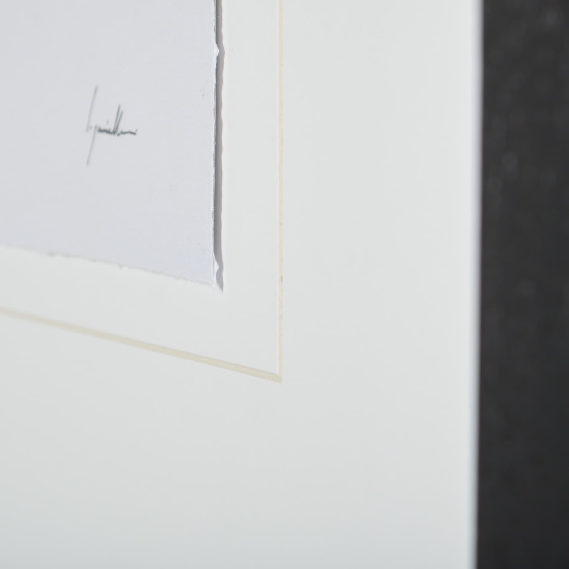 Magnolia II by Gabrielle C a Framed Art Print Matted under Glass — product photograph