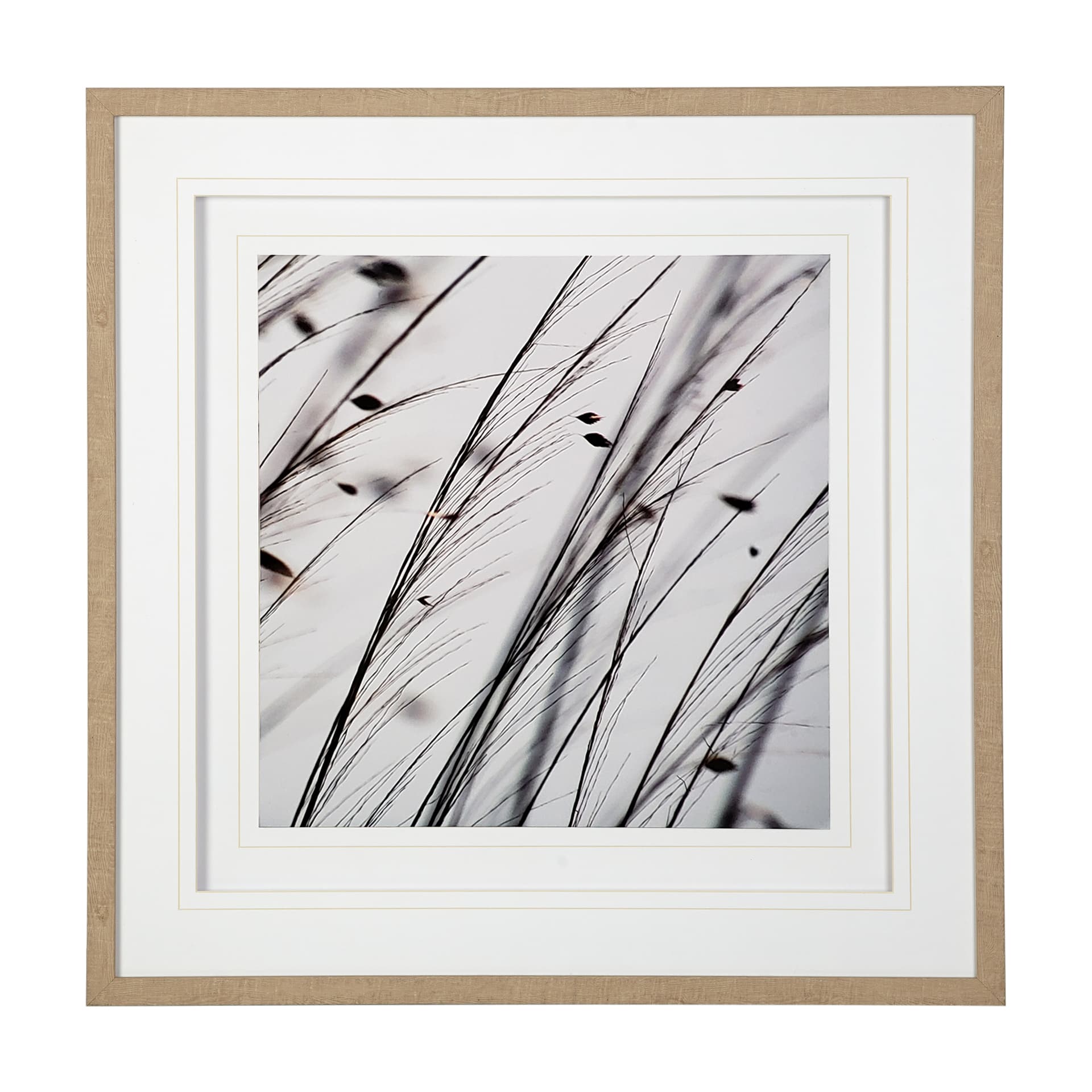 Organic II by Tony Koukos a Hand Embellished Textured Framed Art Photograph Matted under Glass — product photograph