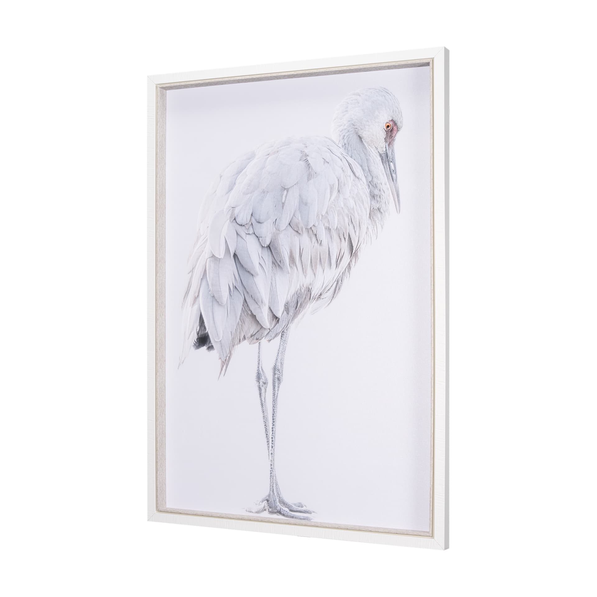 Sandhill Crane II by Chad Mckay a Hand Embelished Textured Framed Photo Art Print — product photograph