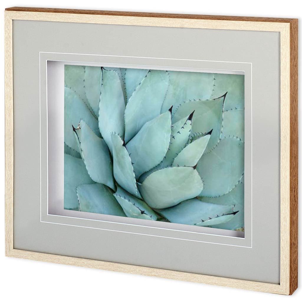 Agave Detail IV by Alison Jerry a Framed Photo Art Print Matted under Glass — product photograph