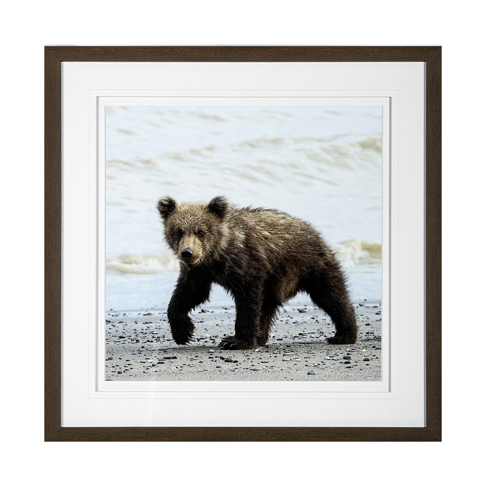 Curious Cub by Wink Gaines a Hand Embellished Textured Framed Art Photograph Matted under Glass — product photograph