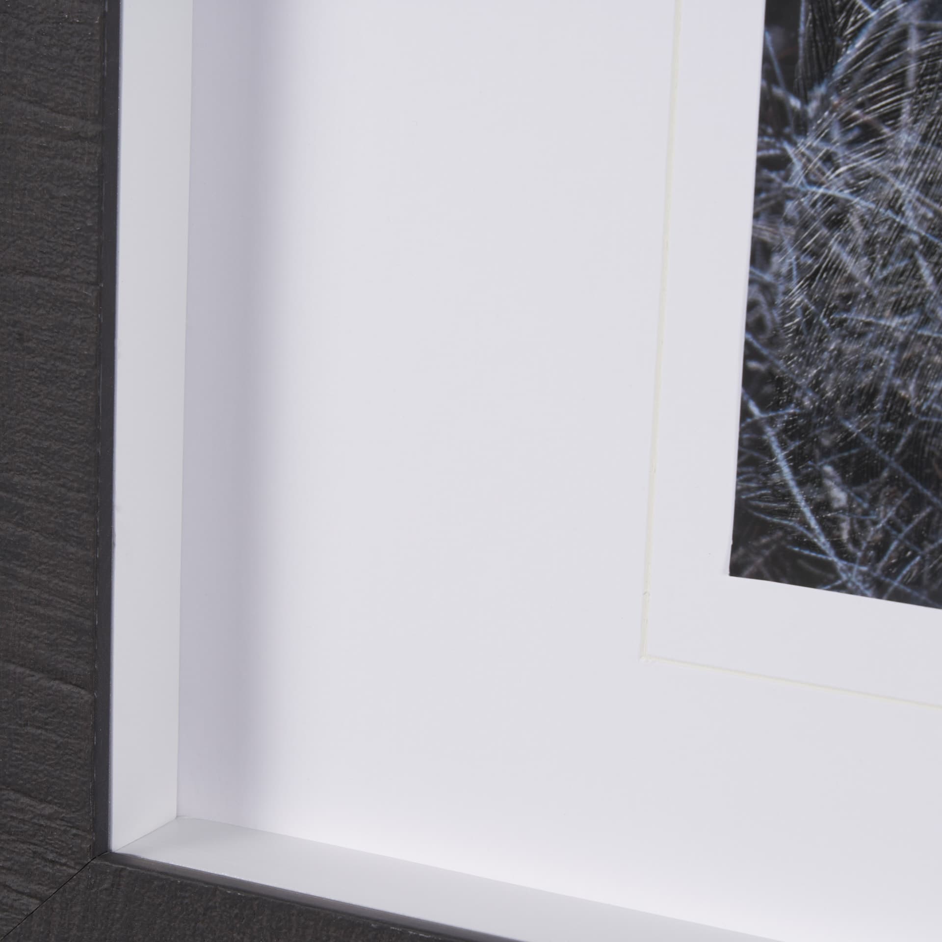 Cautious Gaze by Chad Mackay a Hand Embellished Framed Photo Art Print Matted under Glass — product photograph