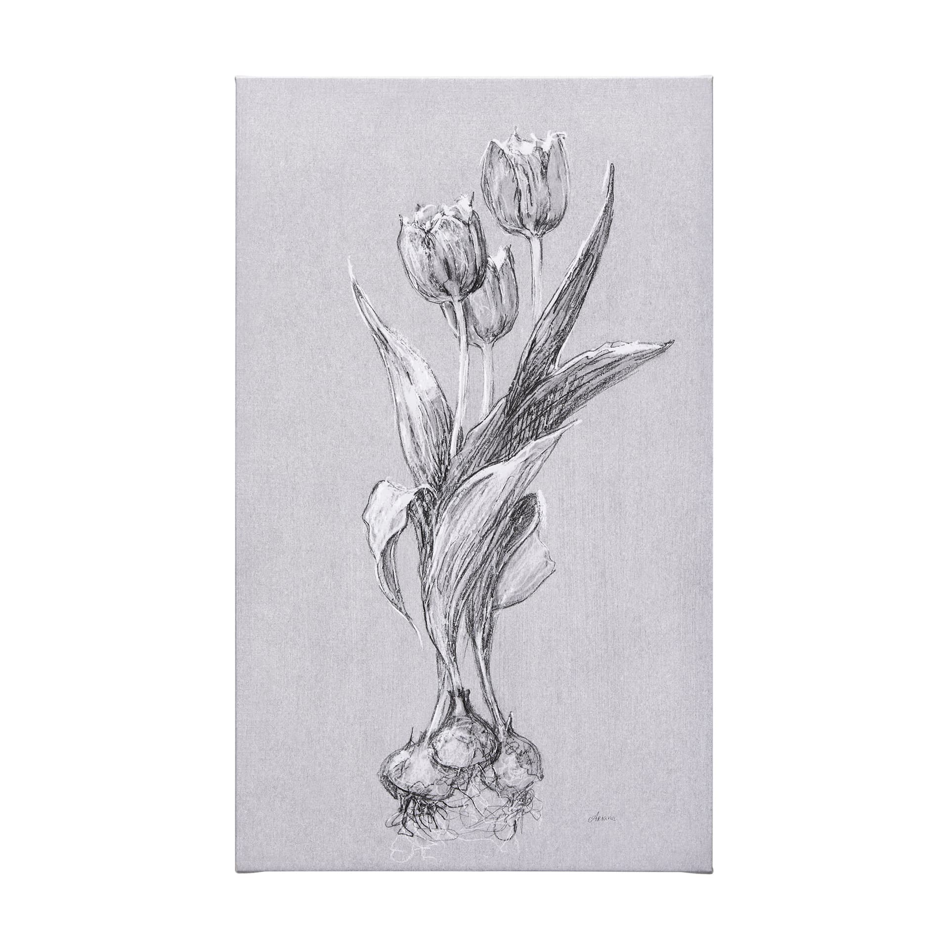 Botanical sketches I (Grey) by Mercana Studio a Hand Embellished Textured Canvas — product photograph
