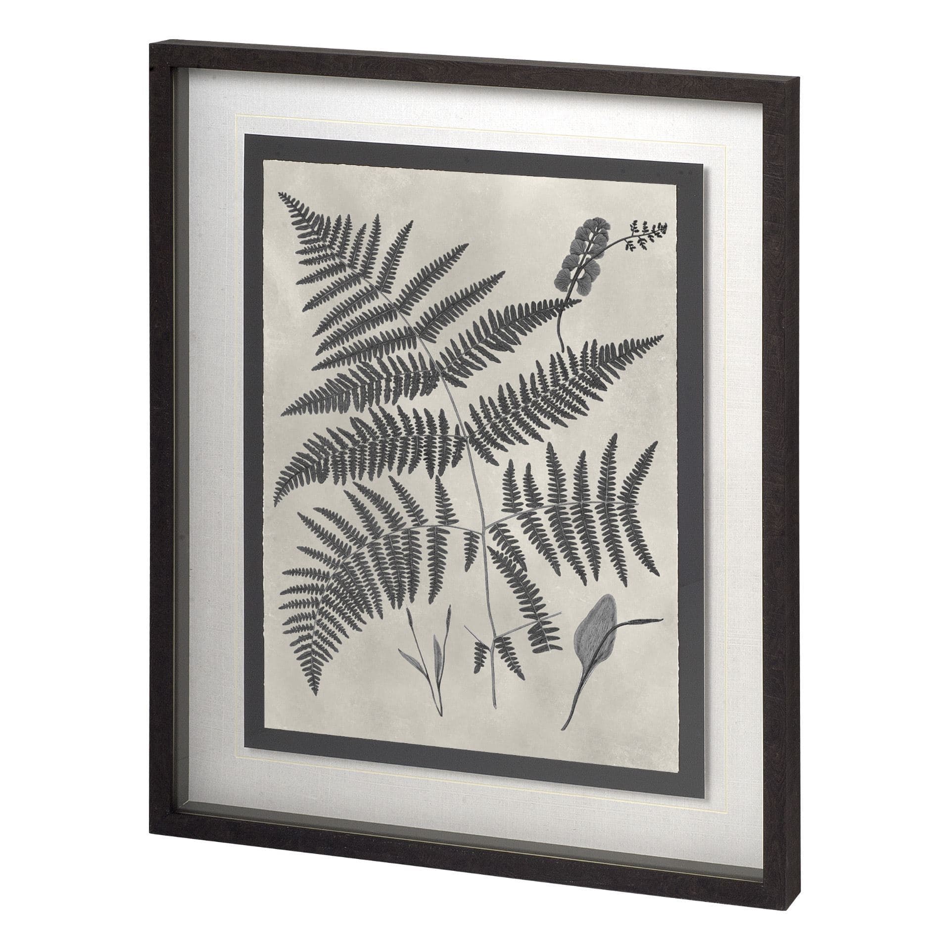 Vintage Fern Study by Mercana Studio a Hand Embellished Textured Framed Art Print Matted under Glass — product photograph