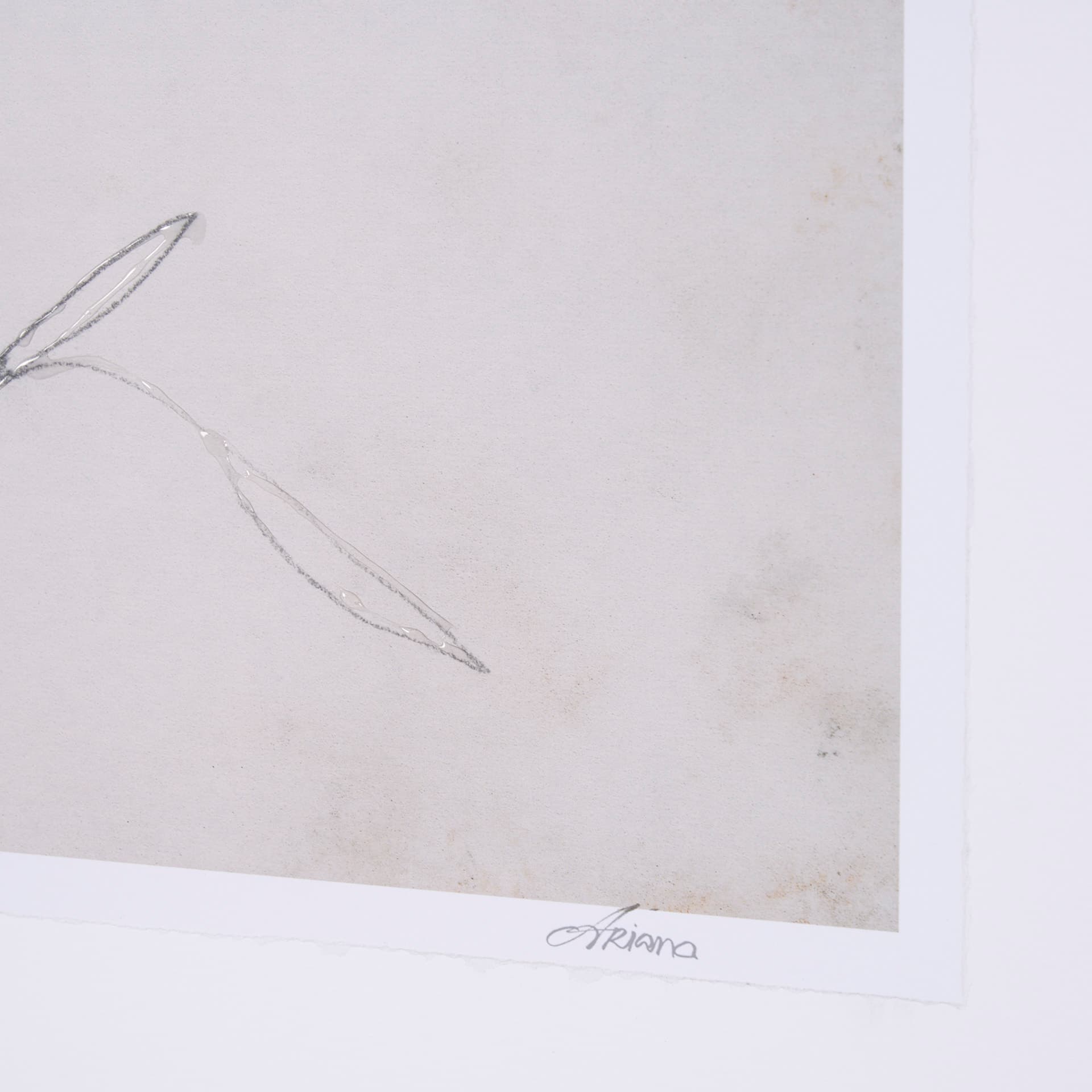 Chokecherry 3 by Mercana Studio a Hand Embellished Framed Art Print Matted under Glass — product photograph