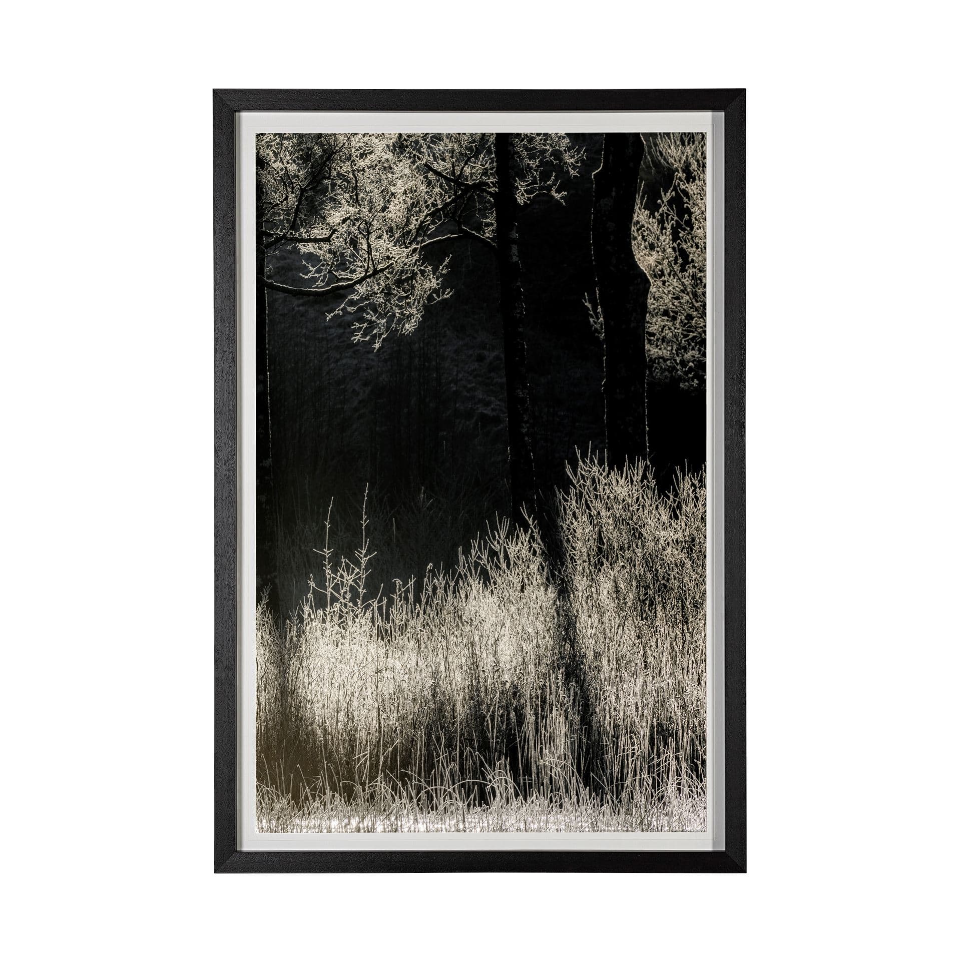 Tranquil Symmetry II by Mikael Svensson a Framed Photo Art Print Matted under Glass — product photograph