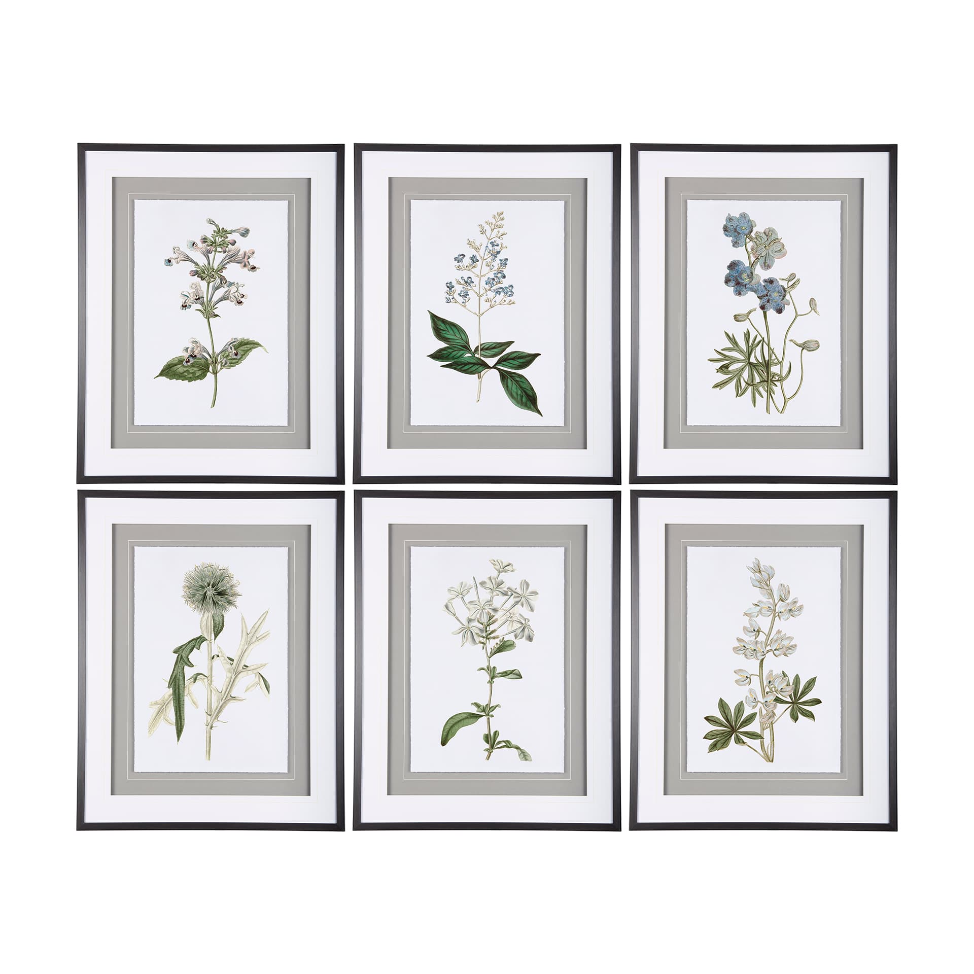 Soft Blue Botanoicals IV by Mercana Studio Hand Embellished Framed Art Print Matted under Glass — product photograph