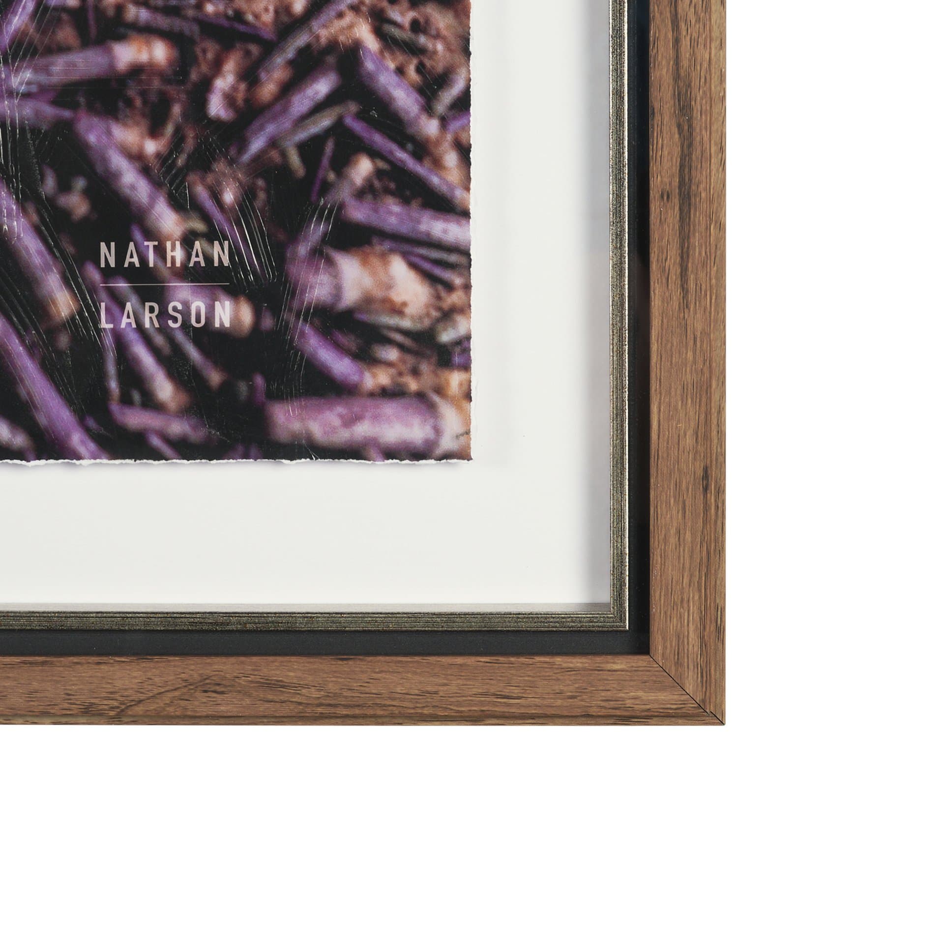 Purple Sea Urchins by Nathan Larson a Hand Embellished Framed Photo Art Print Matted under Glass — product photograph