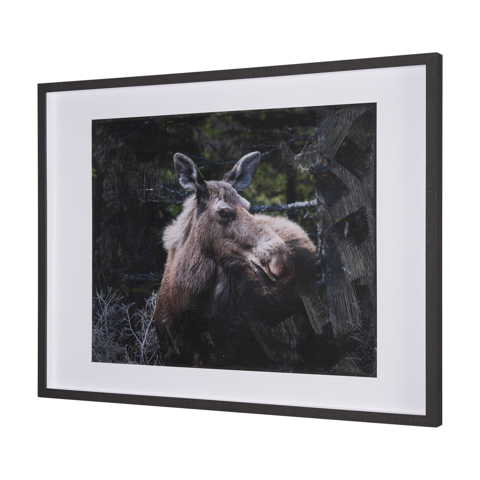 Cautious Gaze by Chad Mackay a Hand Embellished Framed Photo Art Print Matted under Glass — product photograph