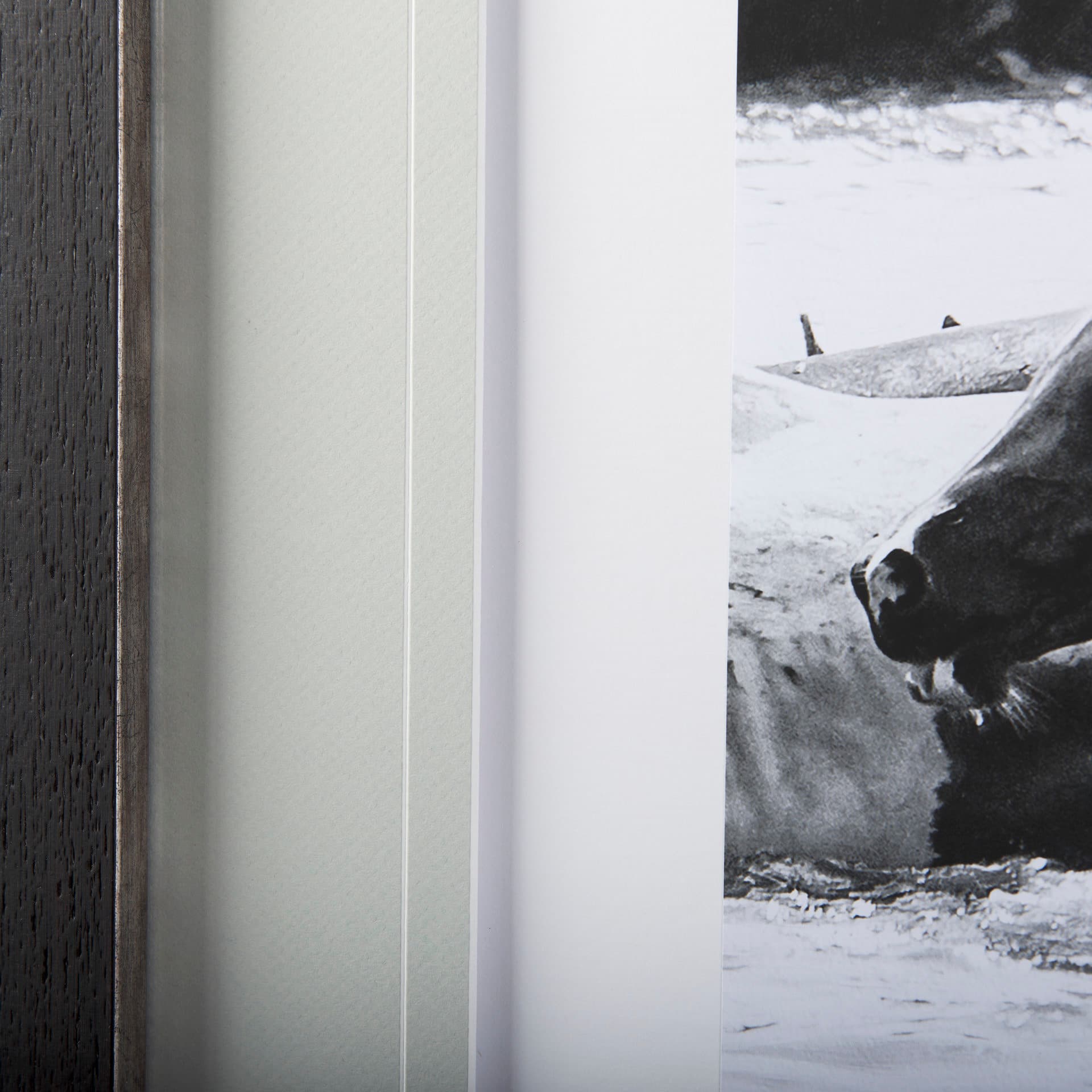 Water Horses III by PHBurchett a Framed Photo Art Print Matted under Glass — product photograph
