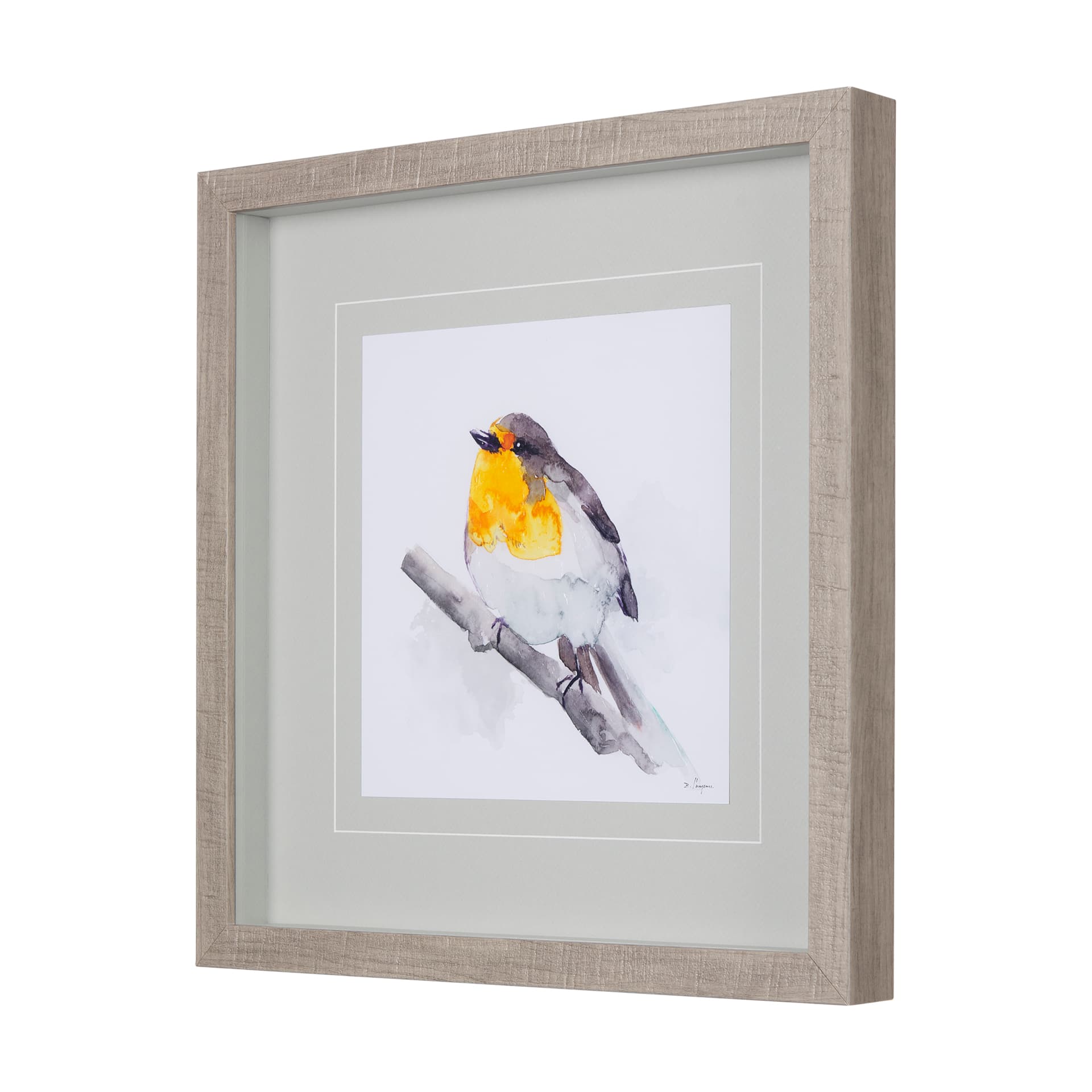 Robin I by Mercana Studio a Hand Embellished Textured Framed Art Print Matted under Glass — product photograph