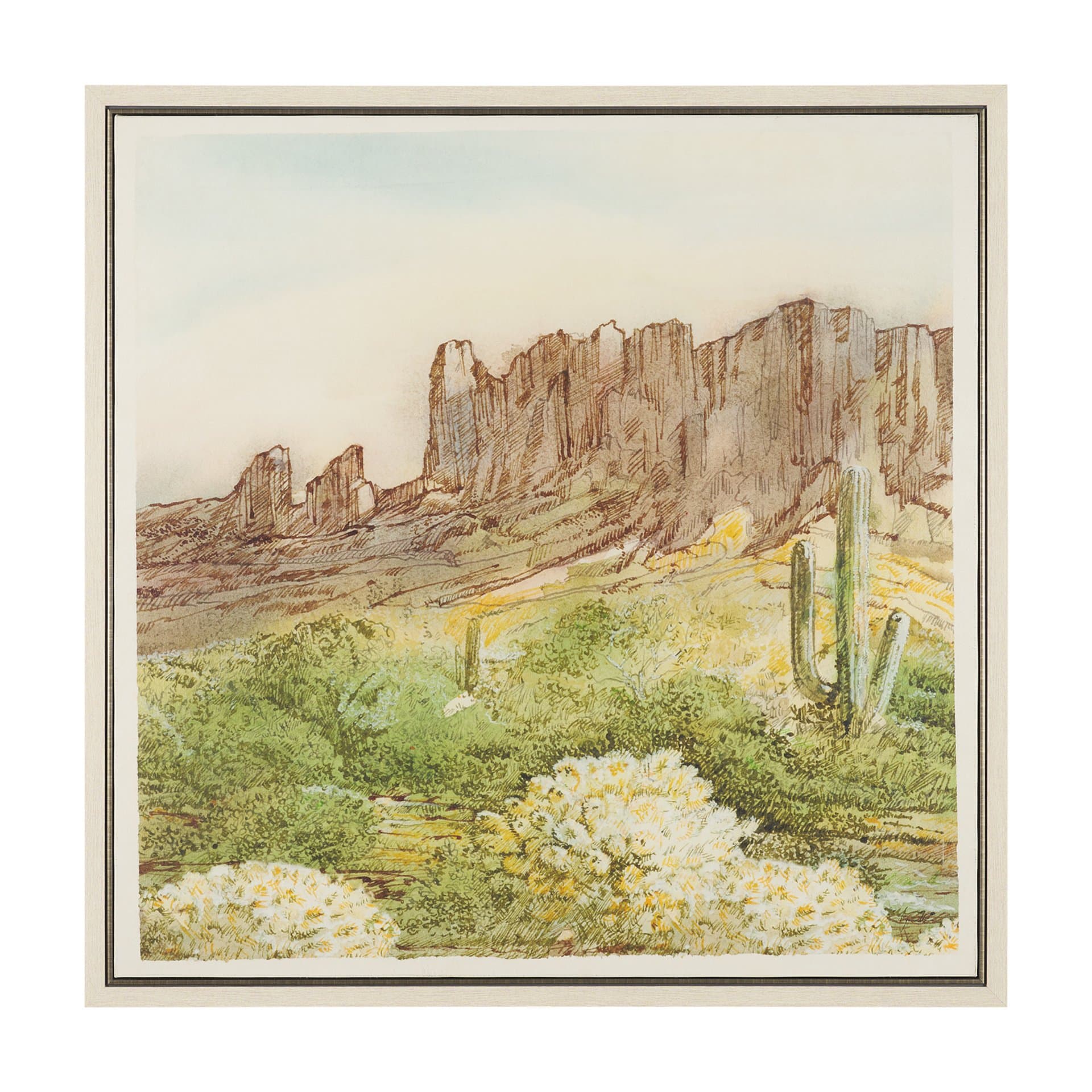 Cactus Country I by Mercana Studio Hand-Embellished Textured Framed Canvas Artwork — product photograph