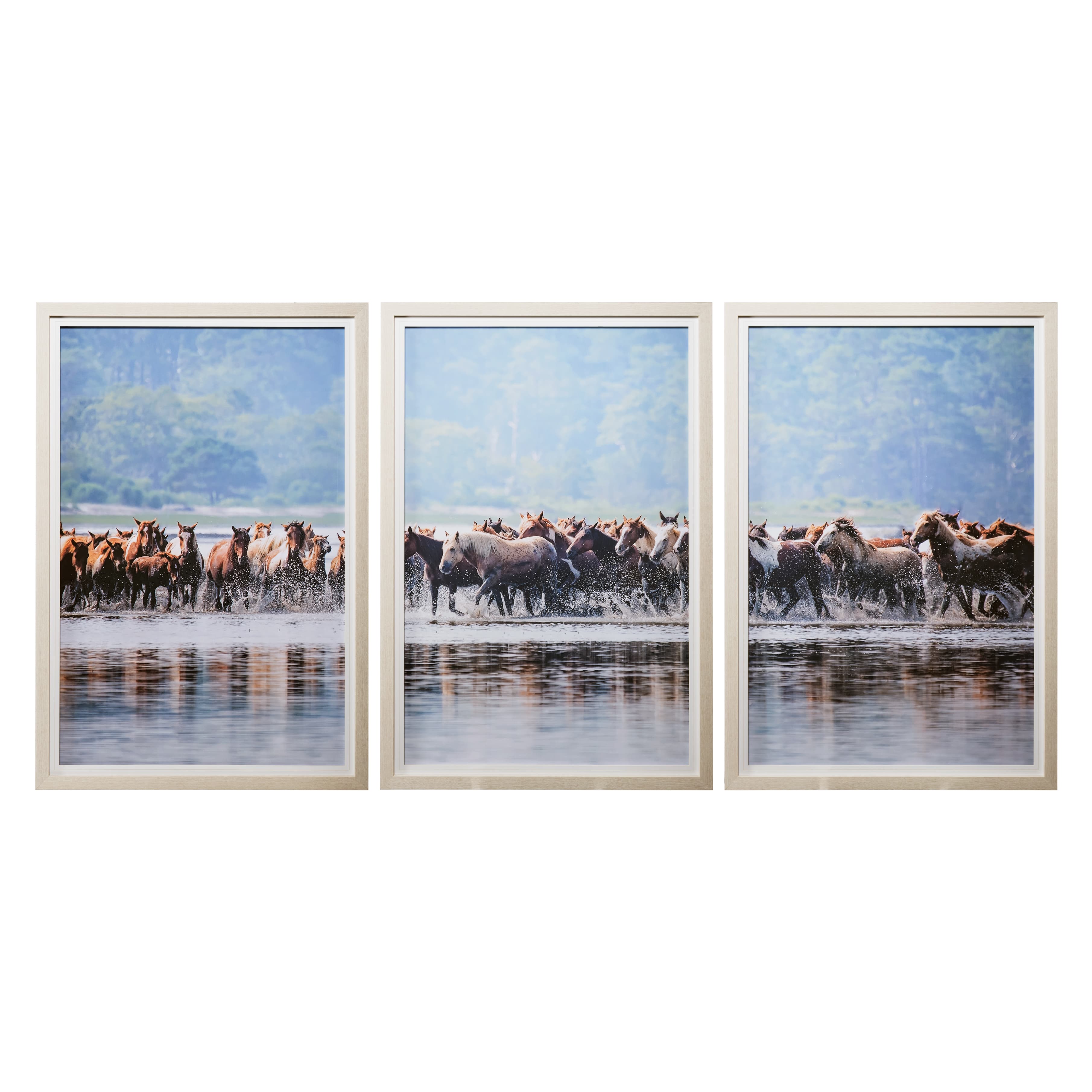 Water Horses II C by PHBurchett a Framed Photo Art Print Matted under Glass — product photograph