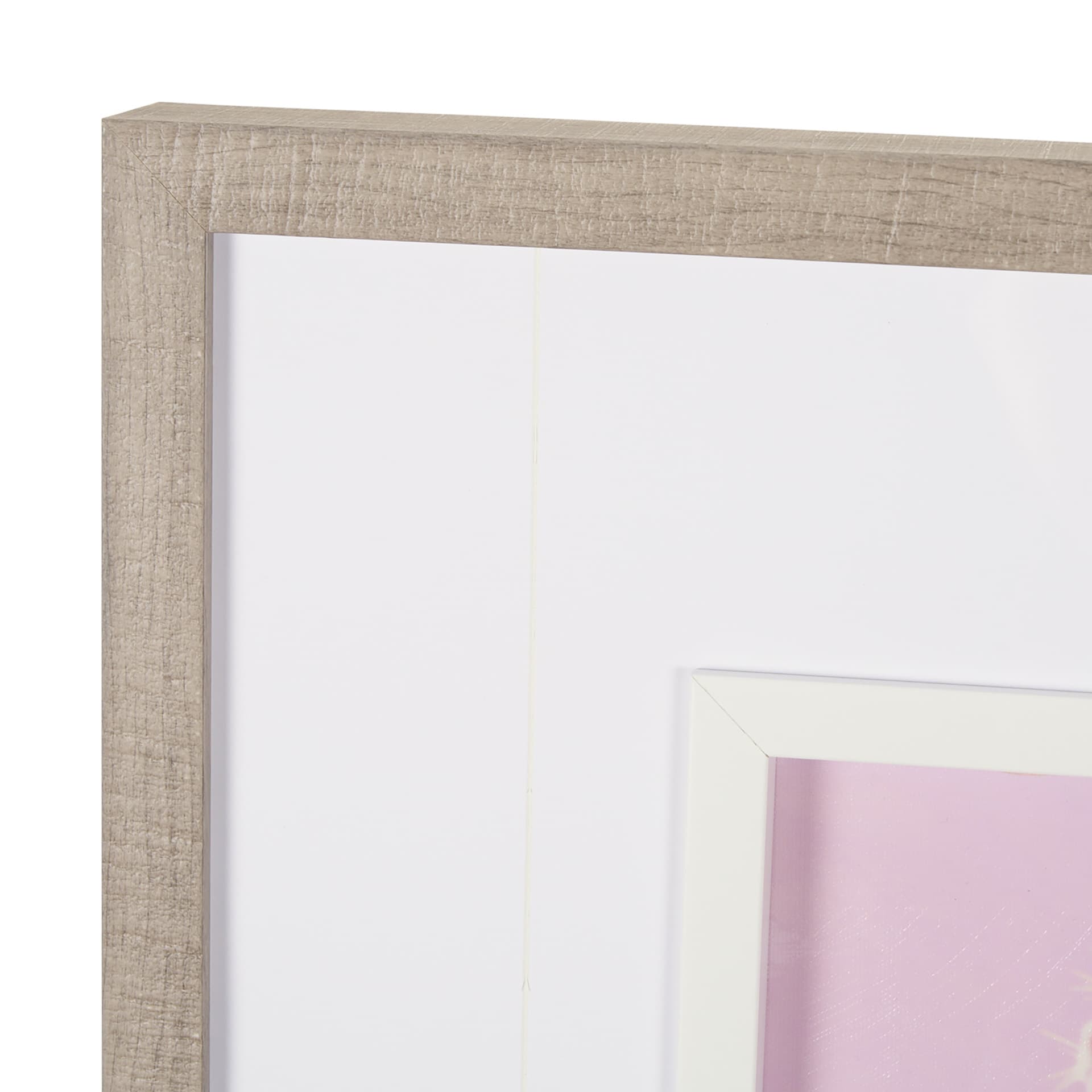 Blush Botanicals - Prickles by Philippe Hugonnard a Hand Embellished Framed Photo Art Print Matted u — product photograph