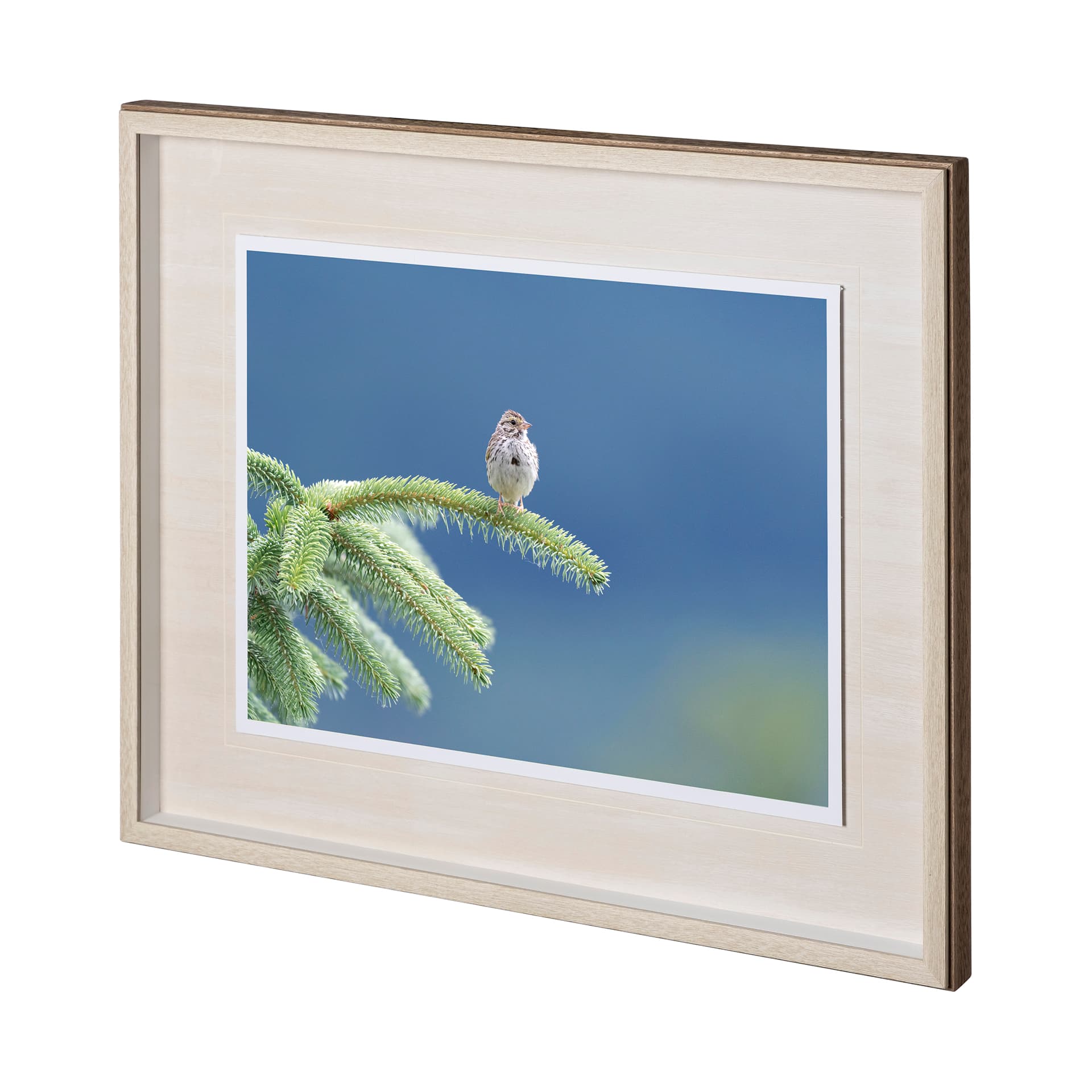 untitled by Nancy Crowell a Framed Photo Art Print Matted under Glass — product photograph