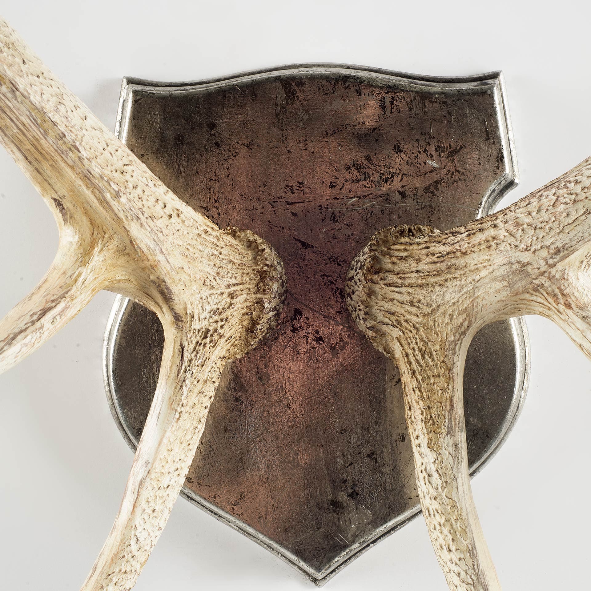 Sika I Natural Finish set of Replica Deer Antlers — product photograph