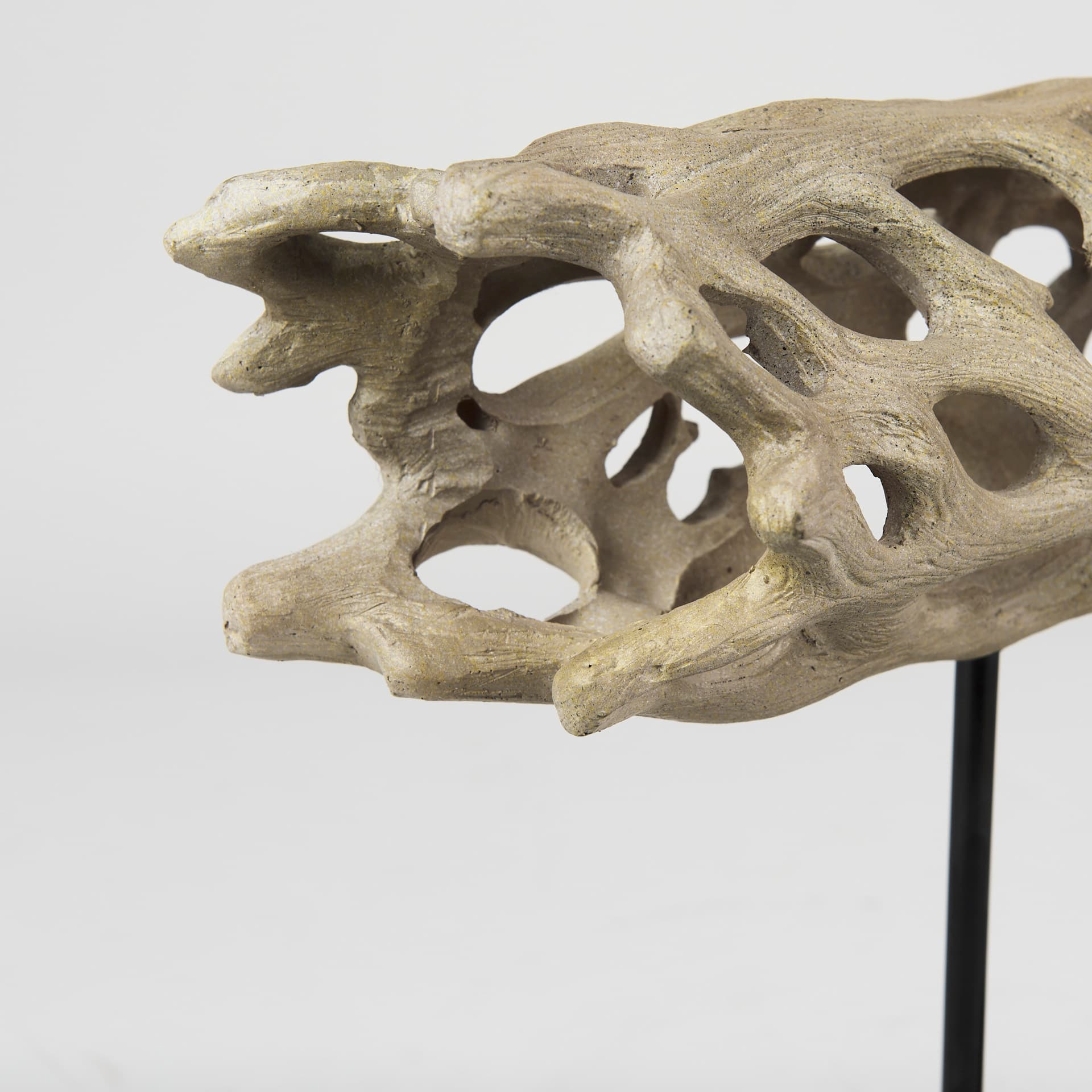 Dwell Cholla Wood Resin Decorative Object — product photograph