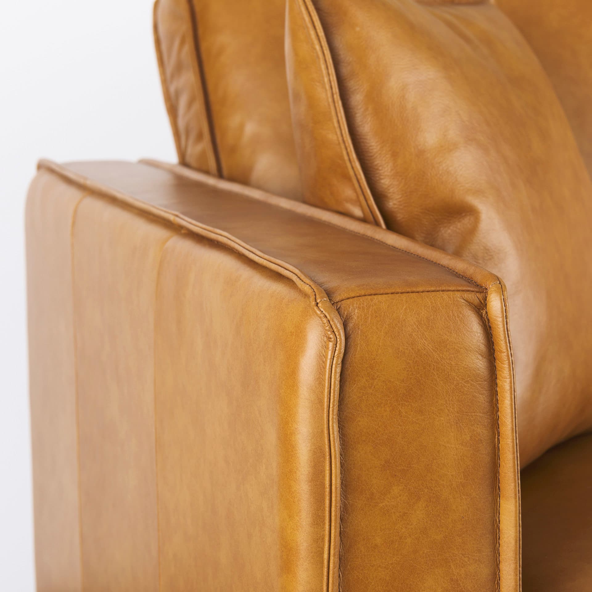 D'Arcy 65.0L x 37.0W x 34.0H Tan Leather Love Seat — product photograph