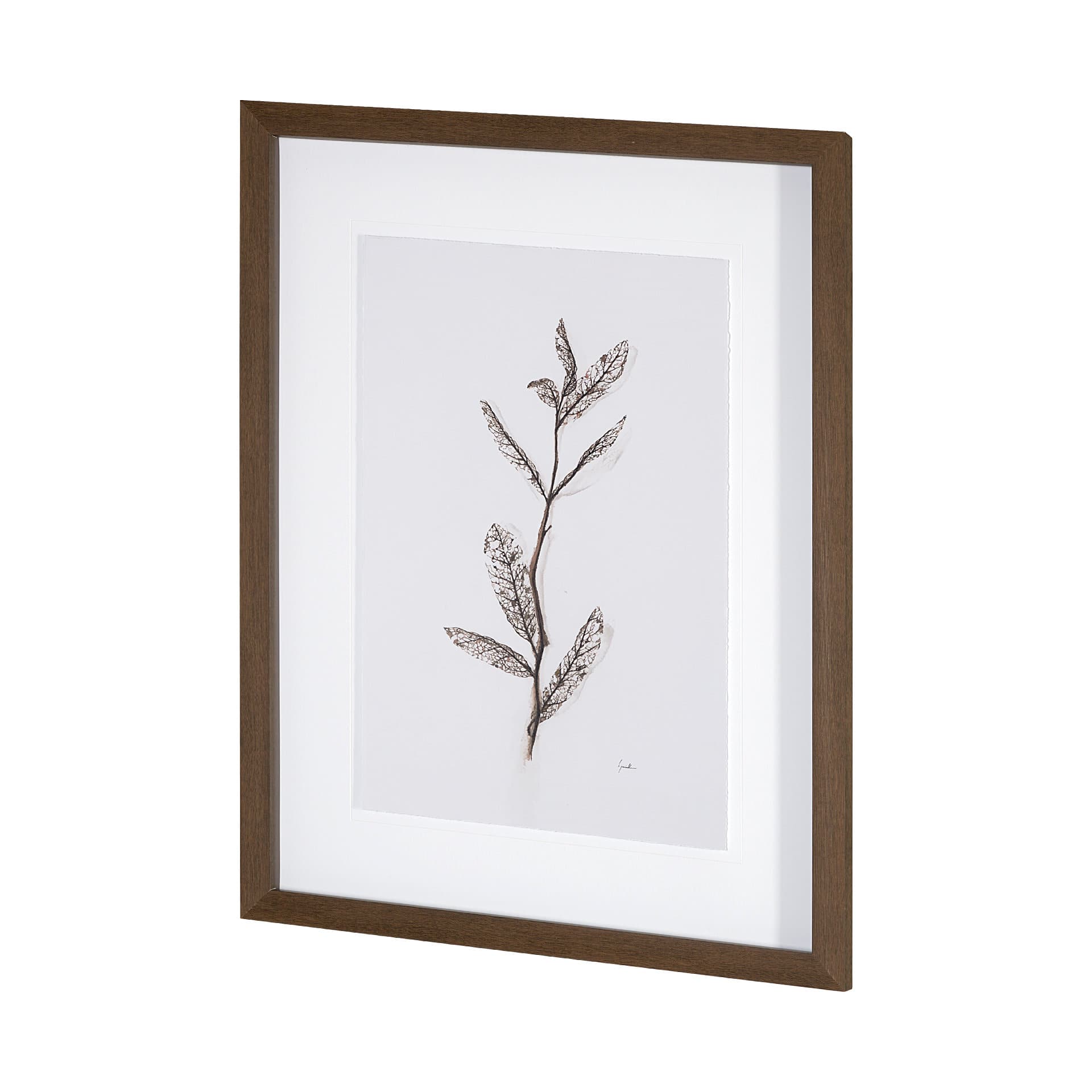 Olive Branch I by Gabrielle a Framed Art Print Matted under Glass — product photograph