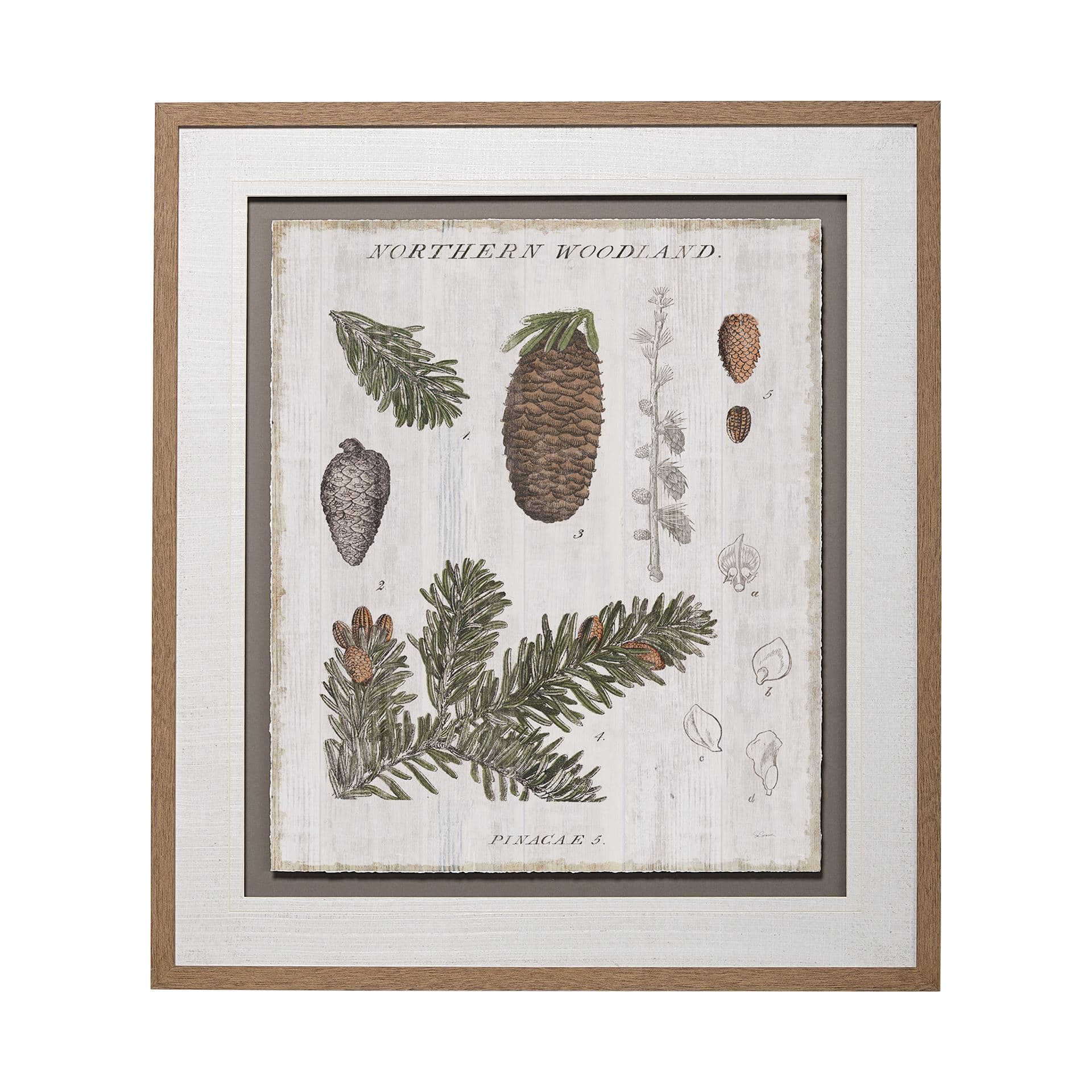 Woodland Chart IV by Sue Schlabach a Hand Embellished Textured Framed Art Print Matted under Glass — product photograph