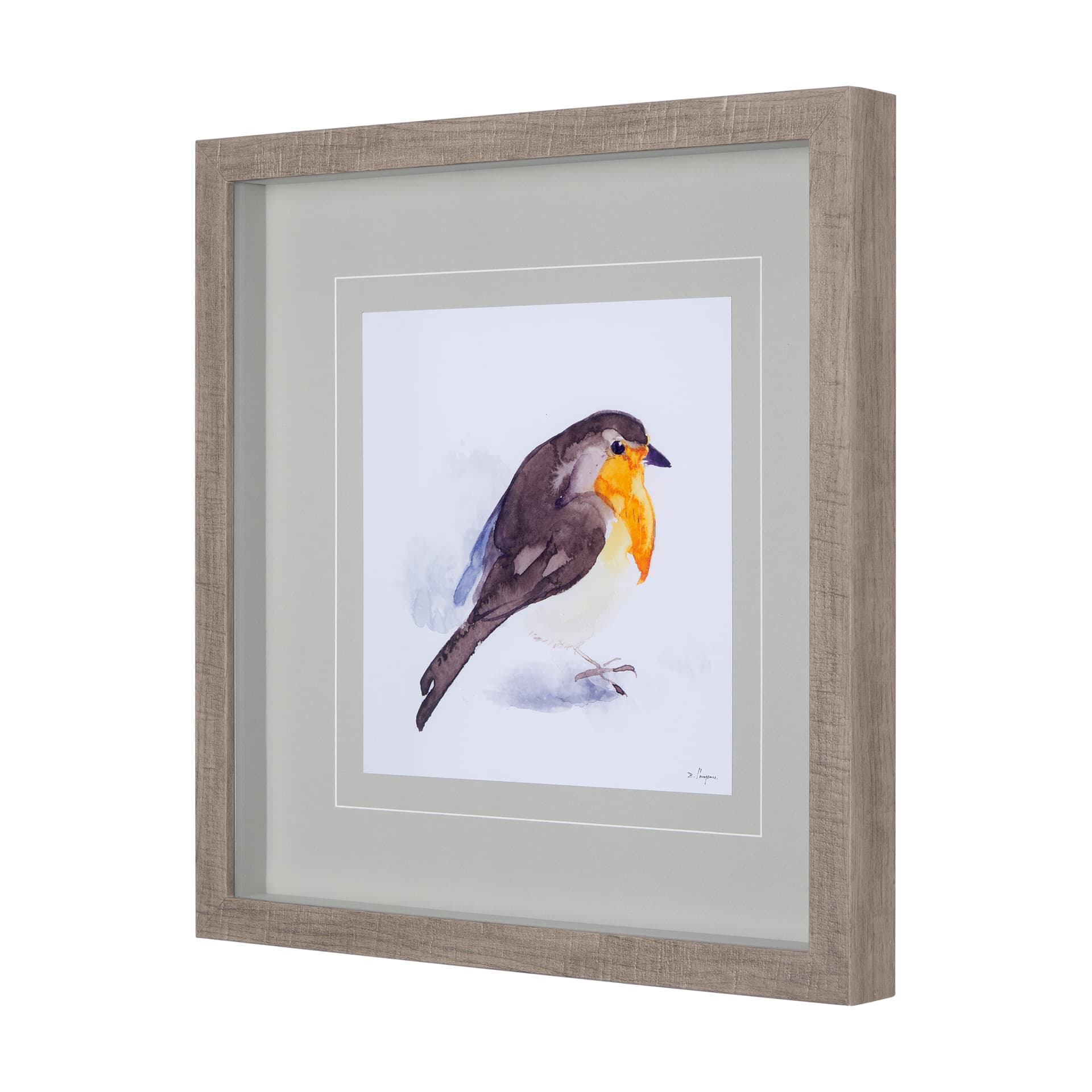 Robin II by Mercana Studio a Hand Embellished Textured Framed Art Print Matted under Glass — product photograph