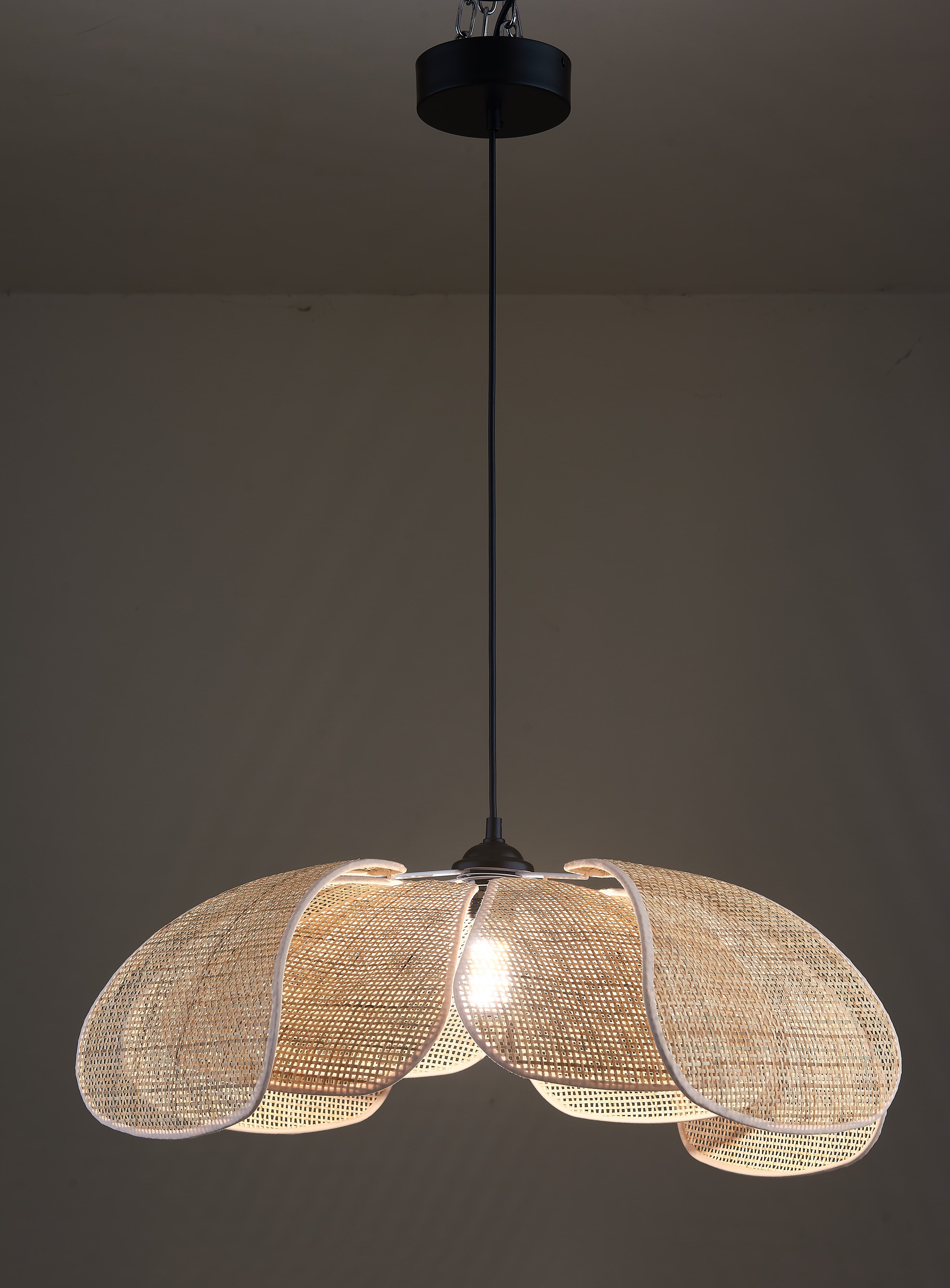 Petal Pendant Light — product photograph