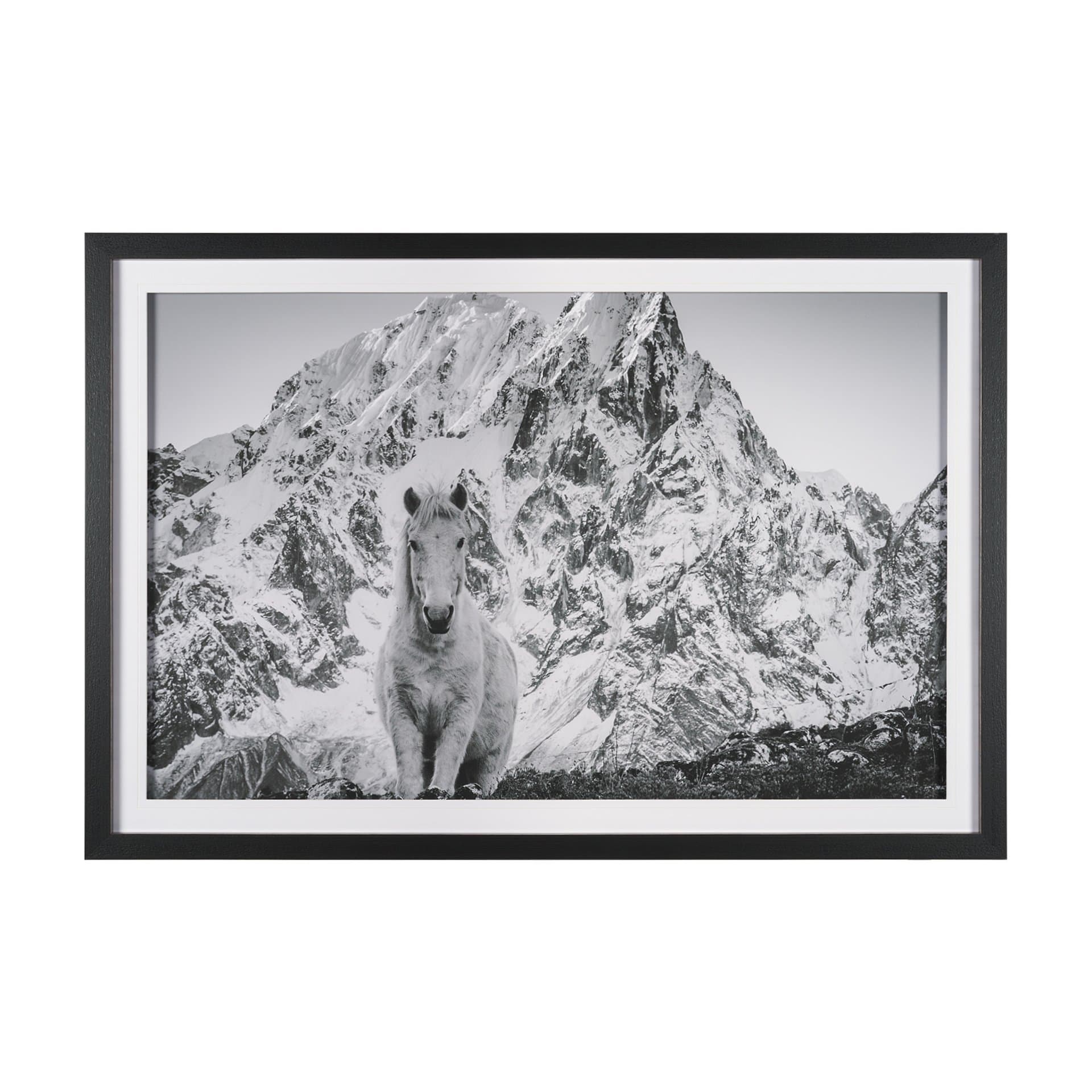 Majestic Mane - Snowscape by Matt Roseveare Framed Art Print Matted under Glass — product photograph
